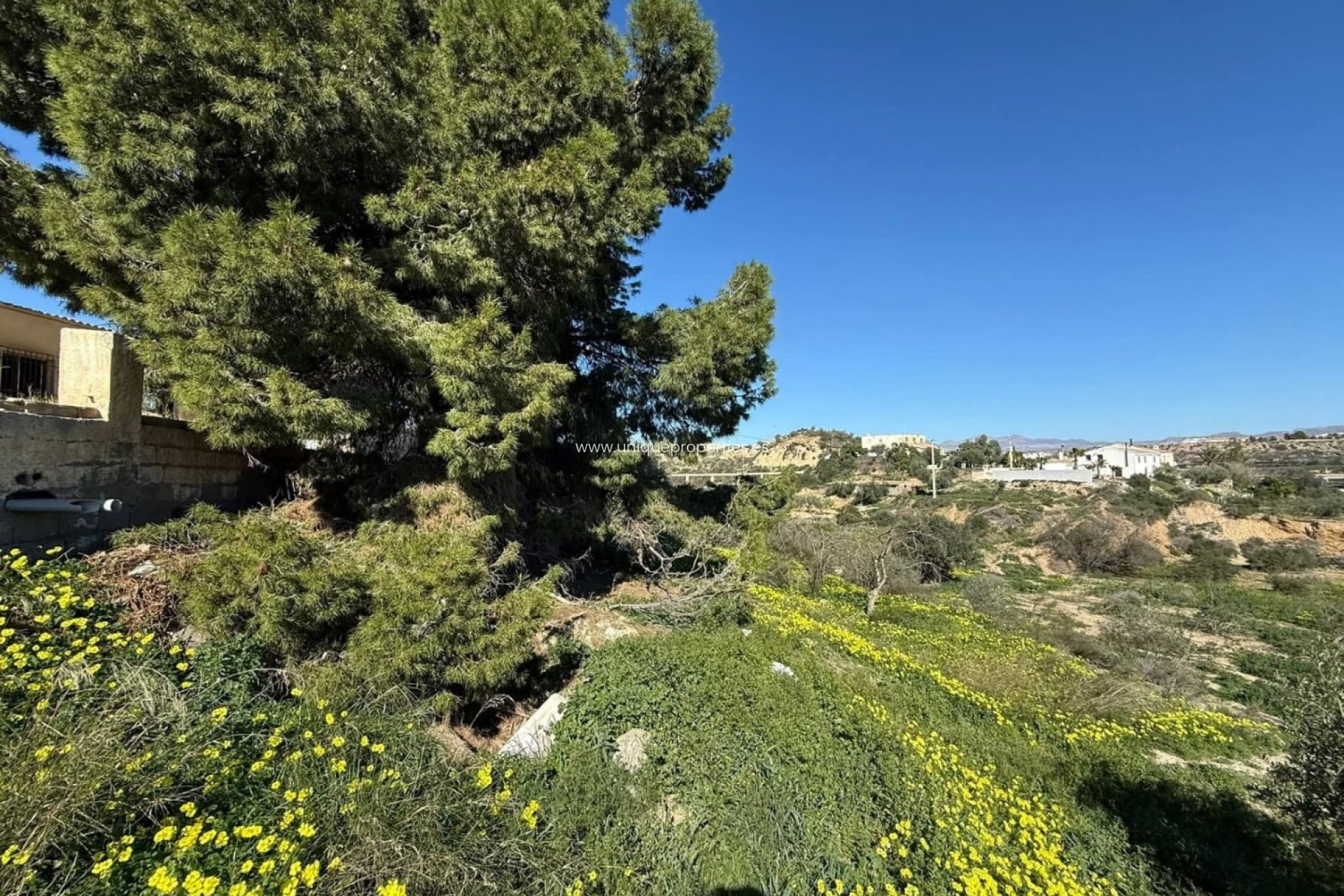 Reventa - Cortijo -
Albox