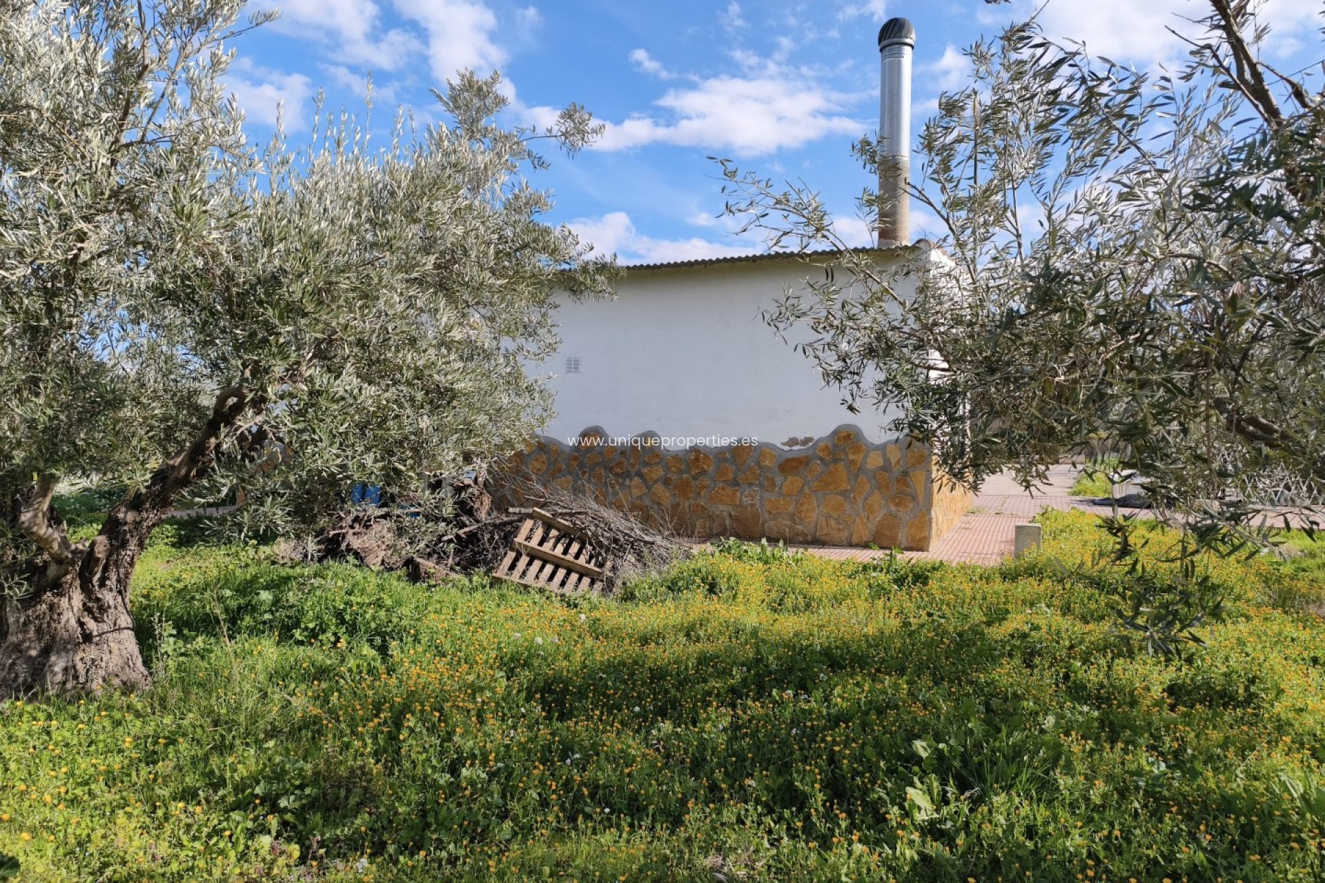 Reventa - Cortijo -
Baza