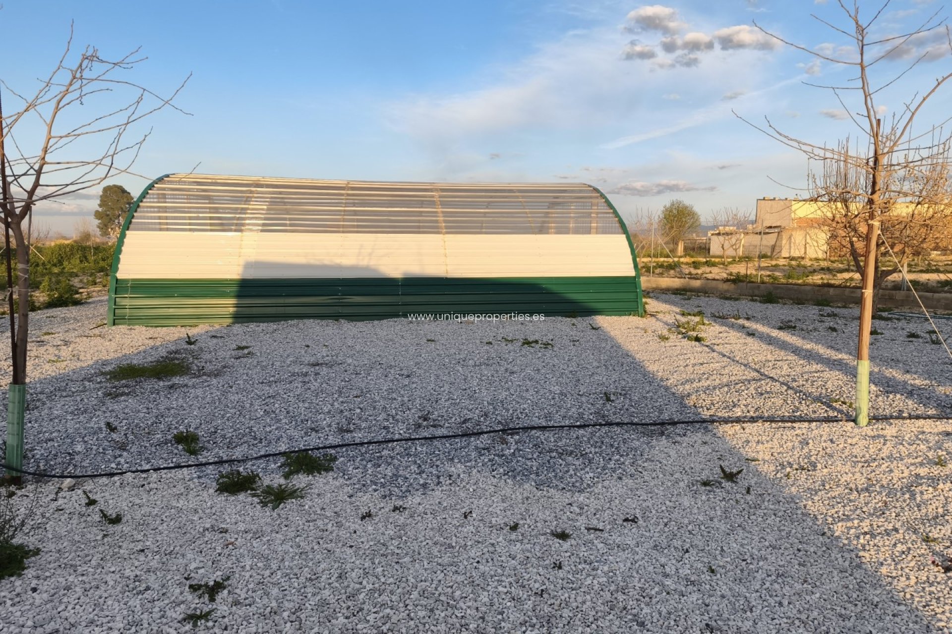 Reventa - Cortijo -
Baza