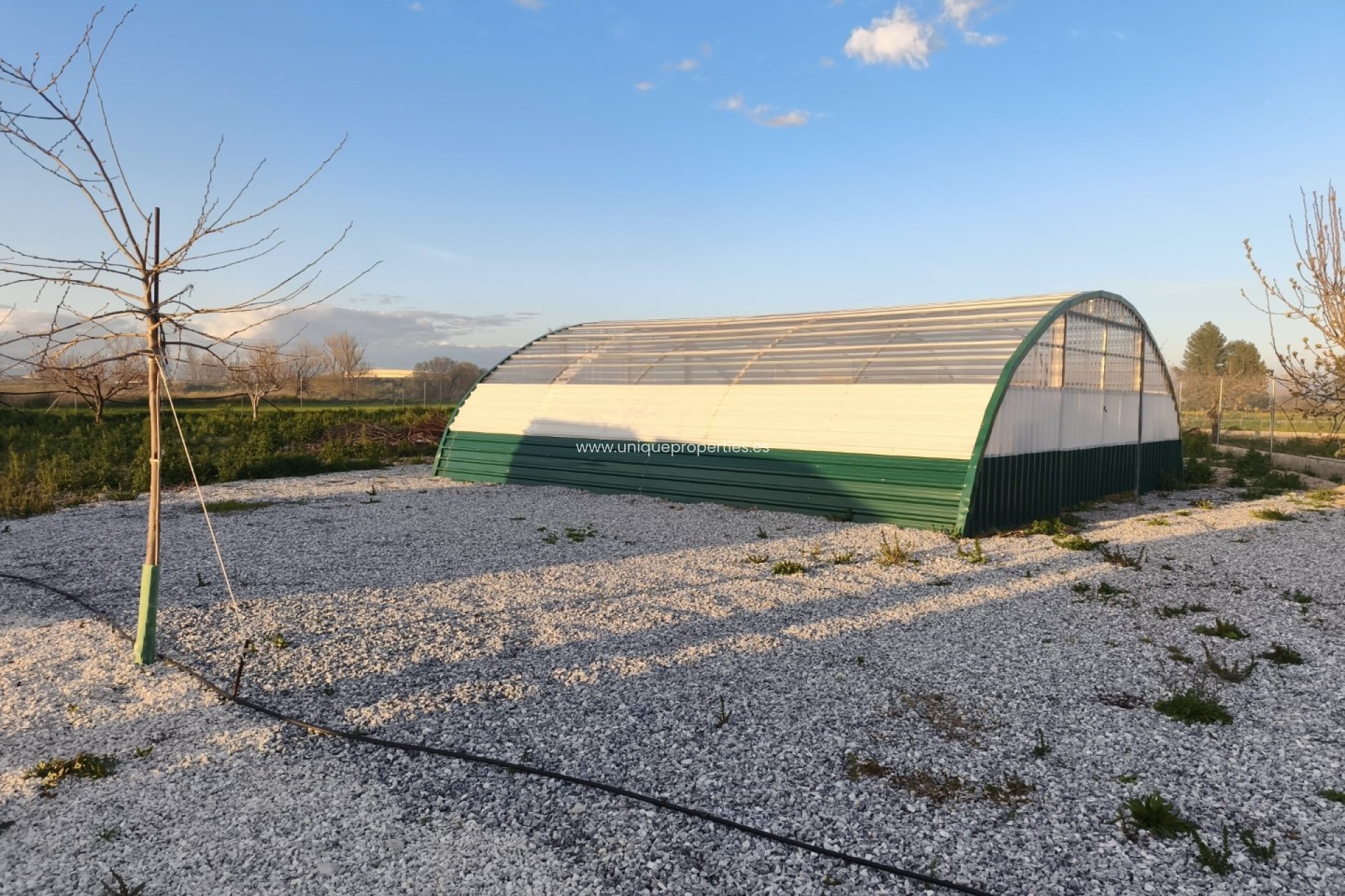 Reventa - Cortijo -
Baza