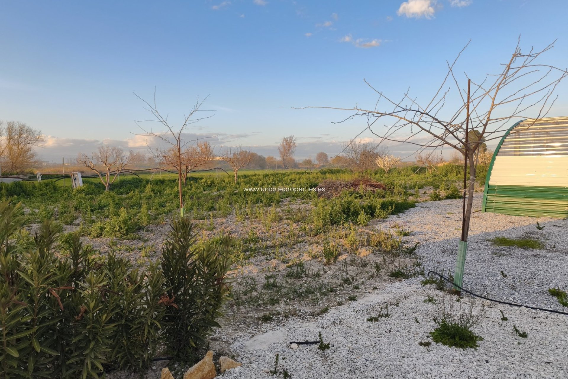 Reventa - Cortijo -
Baza