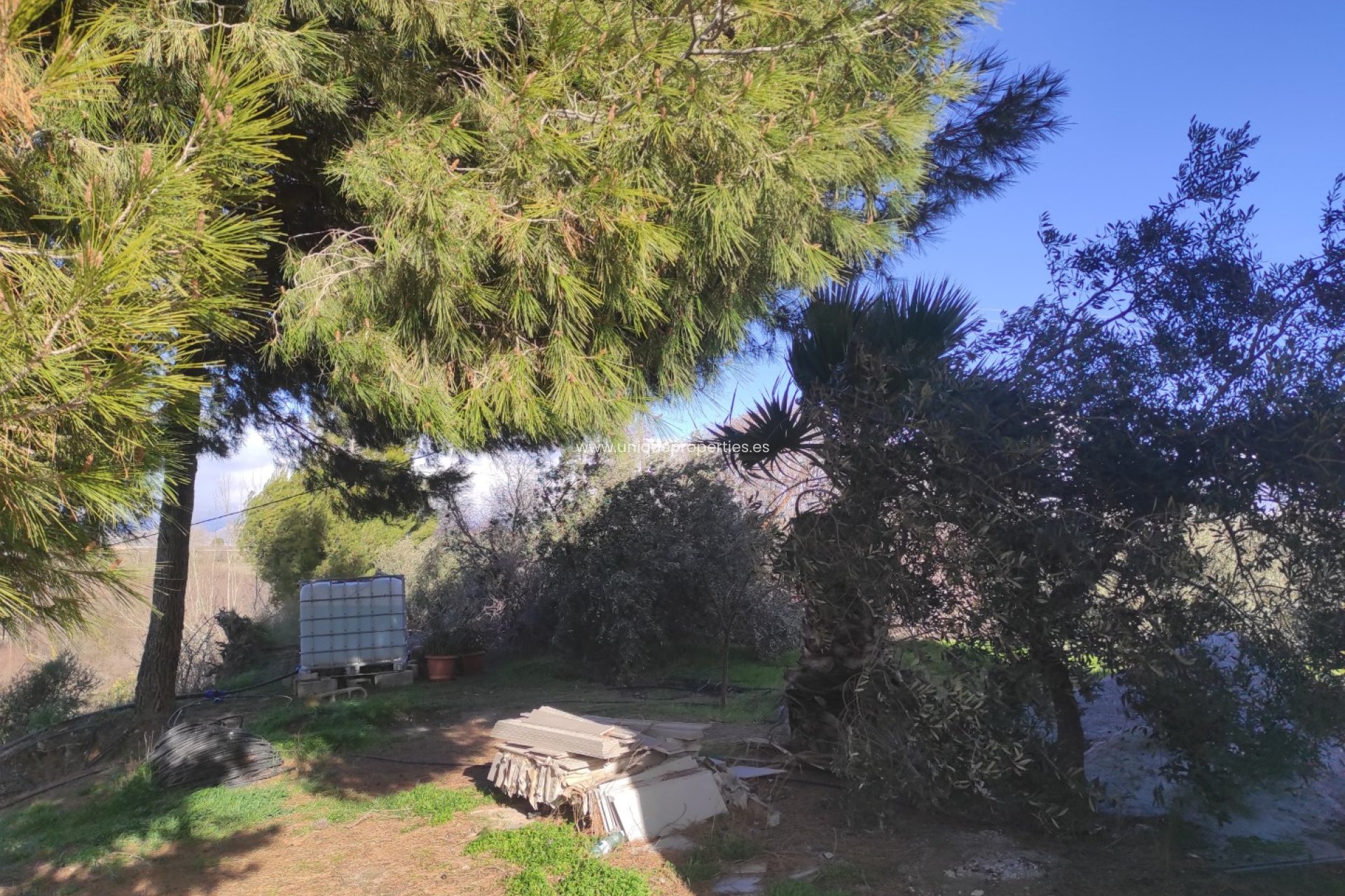 Reventa - Cortijo -
Caniles