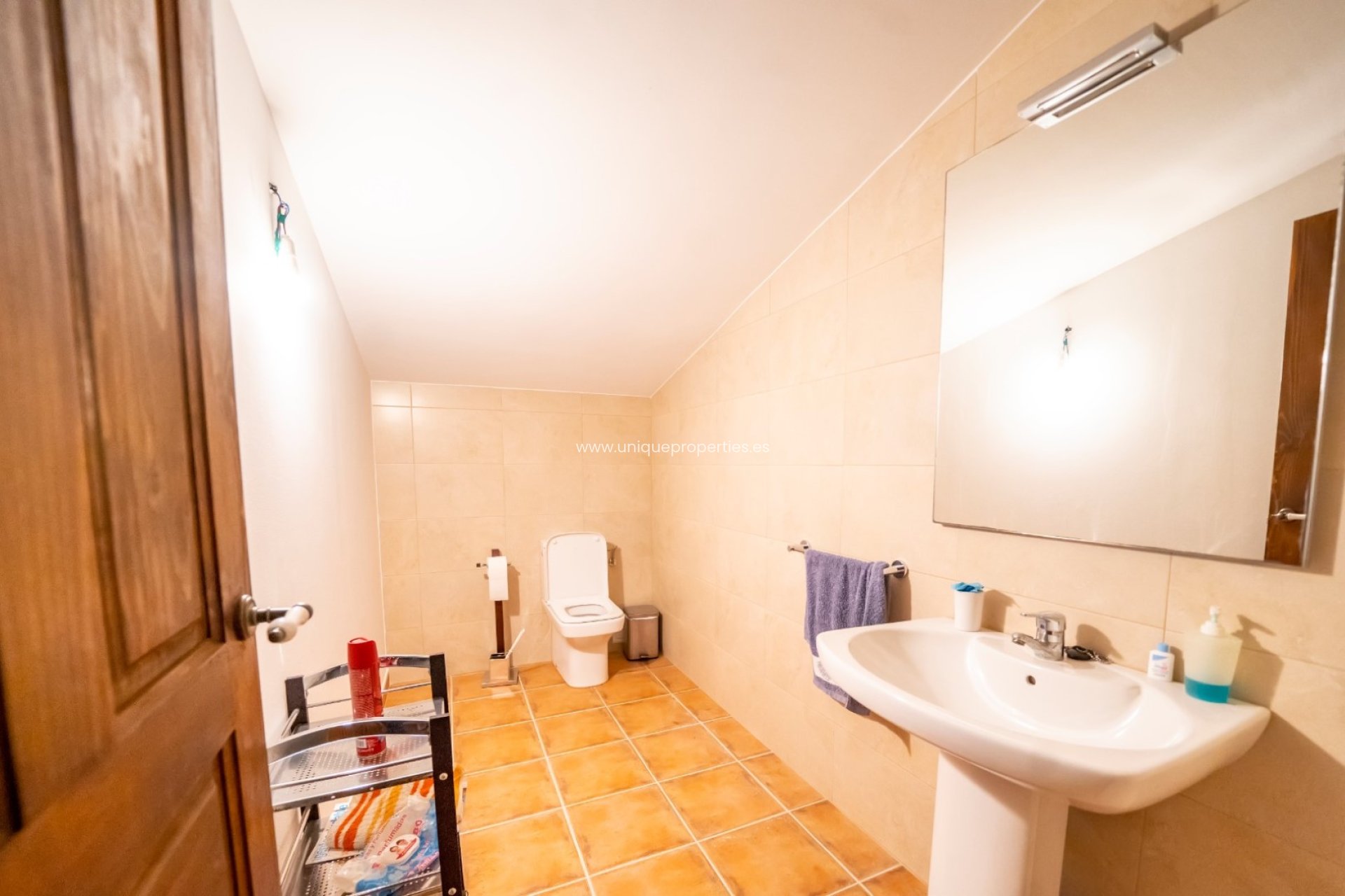 Reventa - Cortijo -
Cantoria