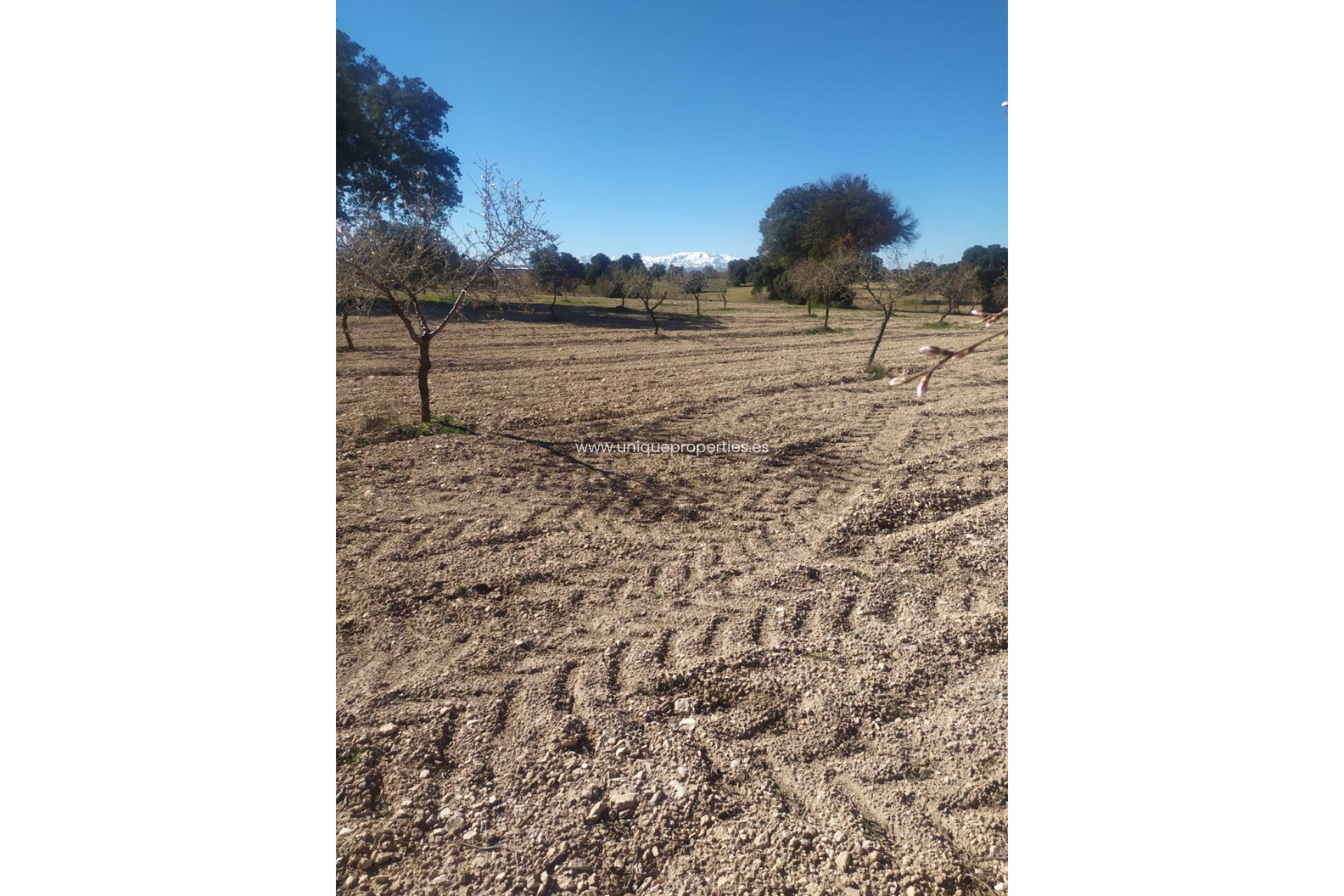 Reventa - Cortijo -
Guadix