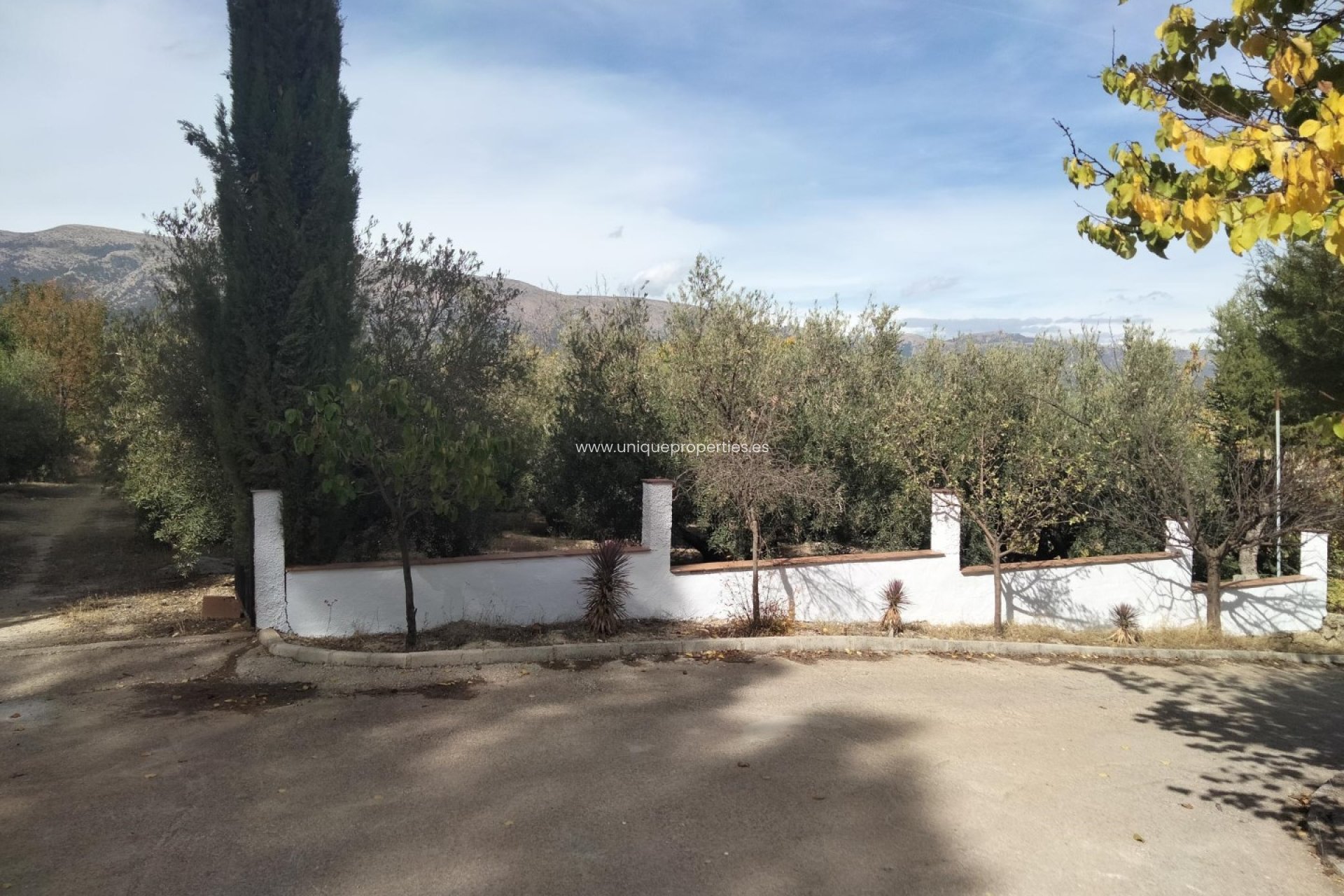 Reventa - Cortijo -
Huescar