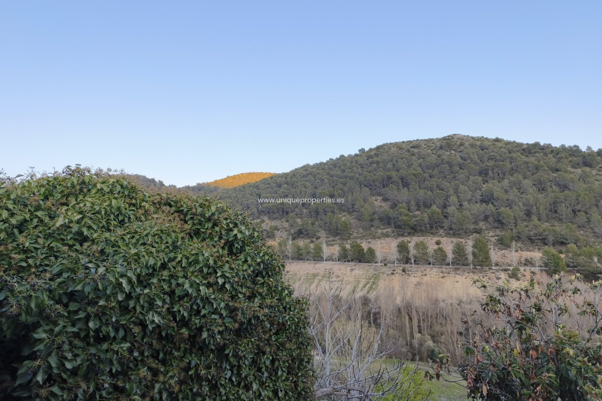 Reventa - Cortijo -
Huescar