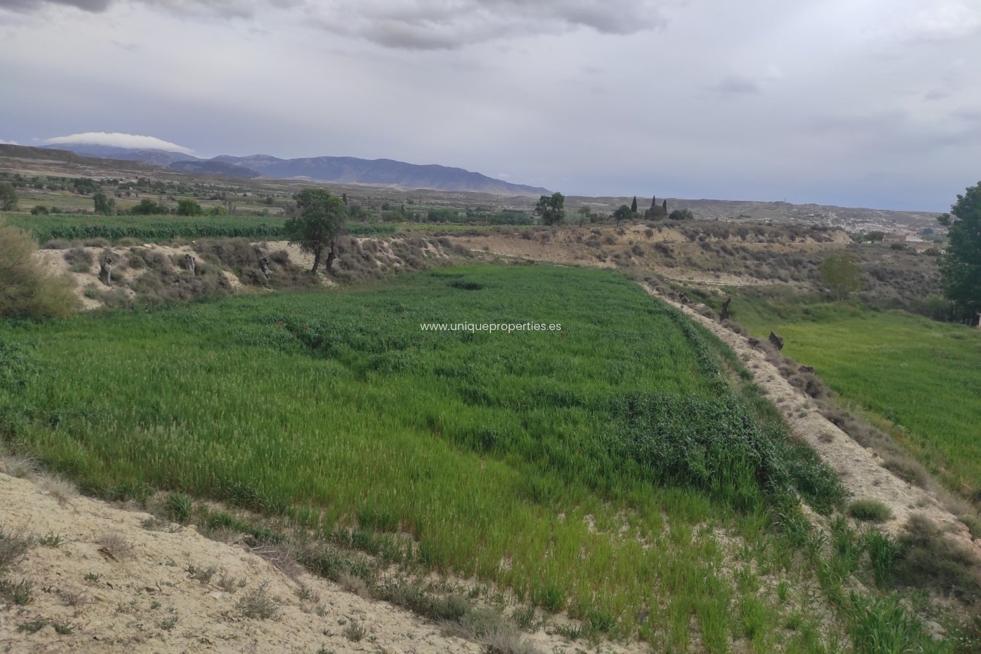 Reventa - Cortijo -
Huescar