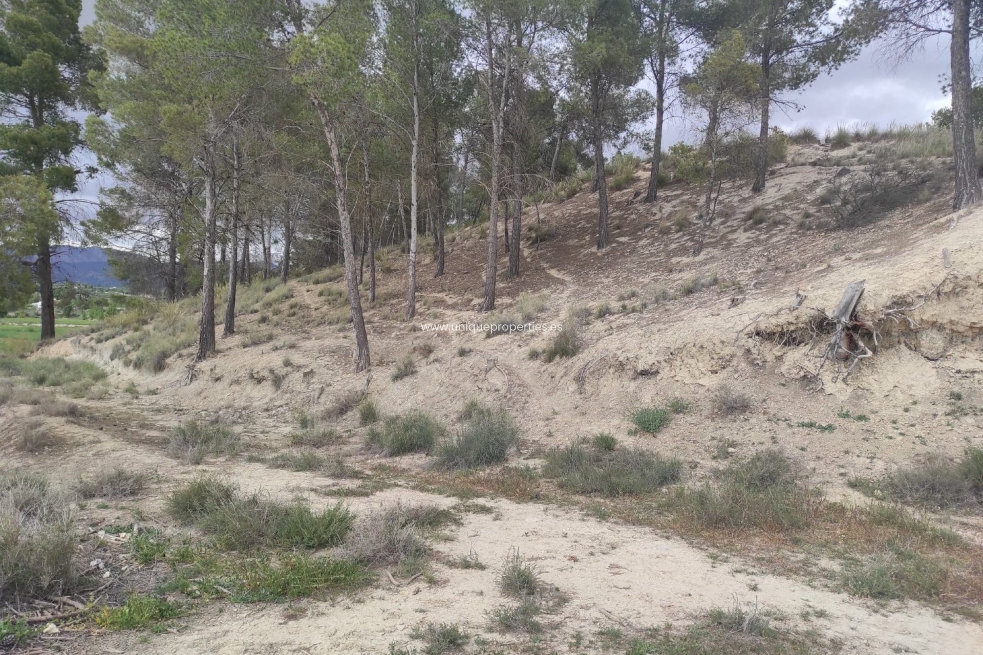 Reventa - Cortijo -
Huescar