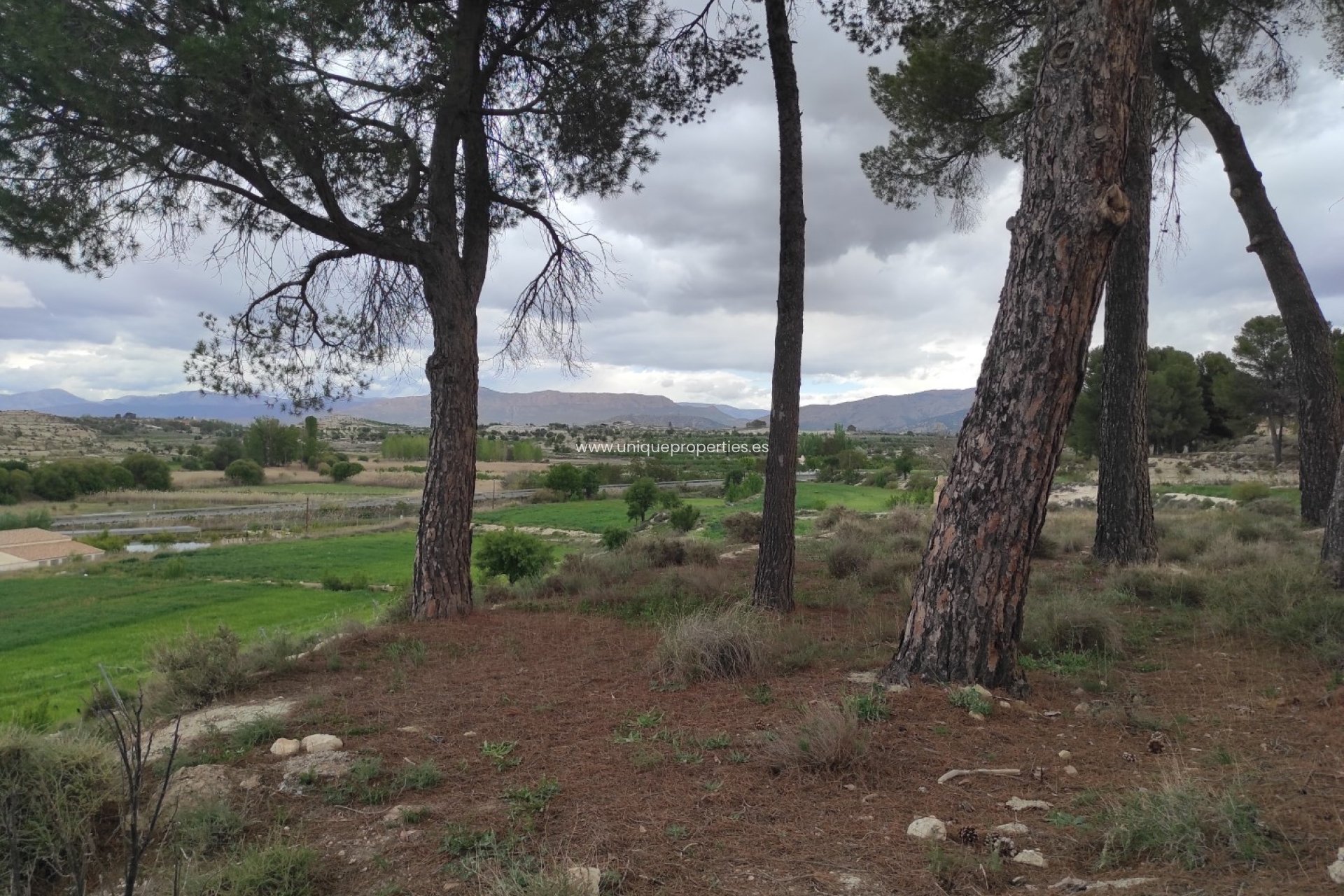 Reventa - Cortijo -
Huescar