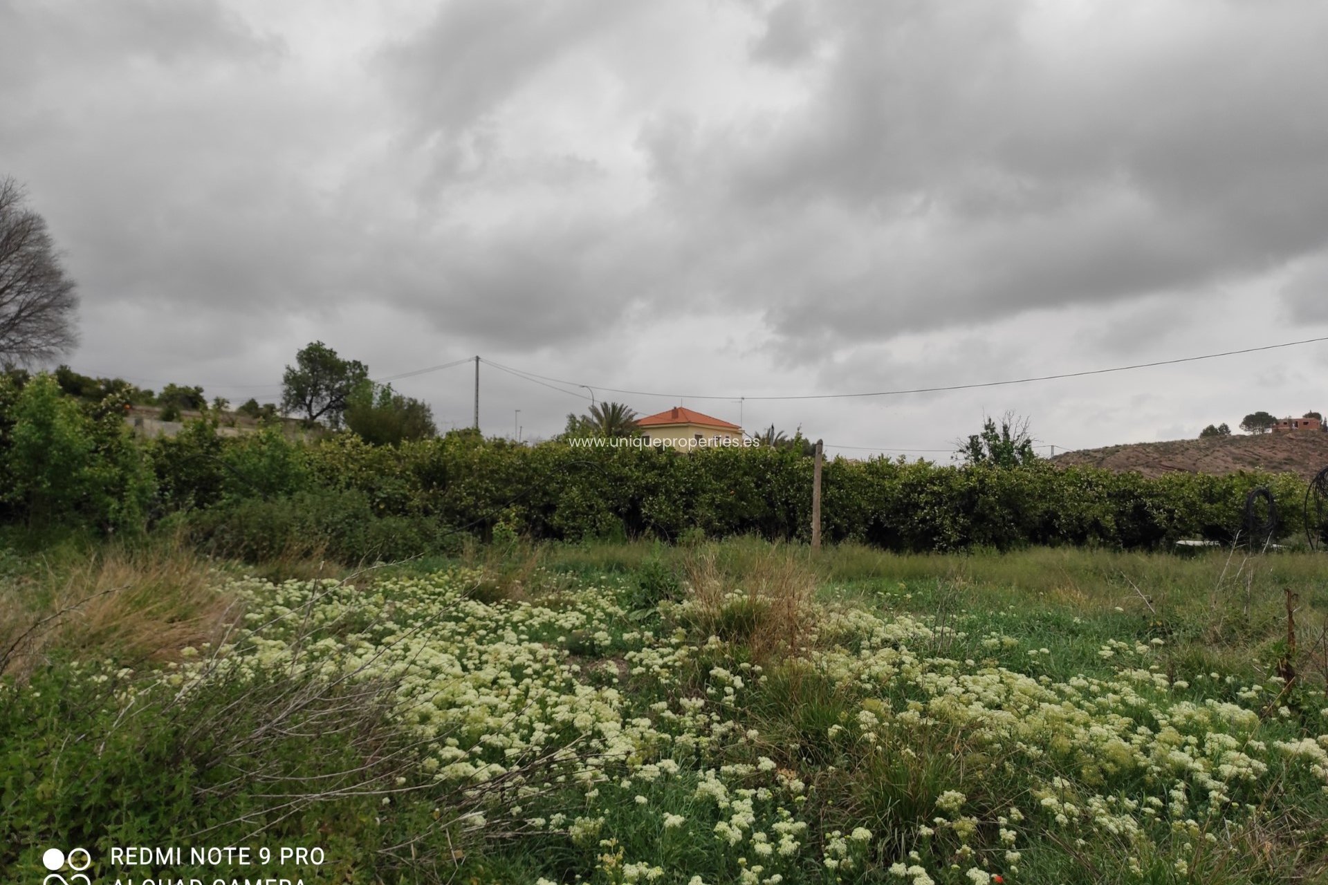 Reventa - Cortijo -
Olula del Rio