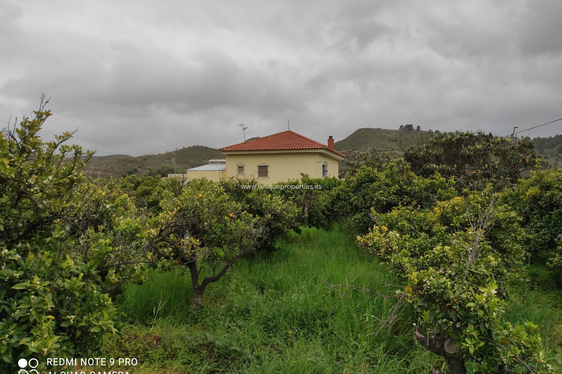 Reventa - Cortijo -
Olula del Rio