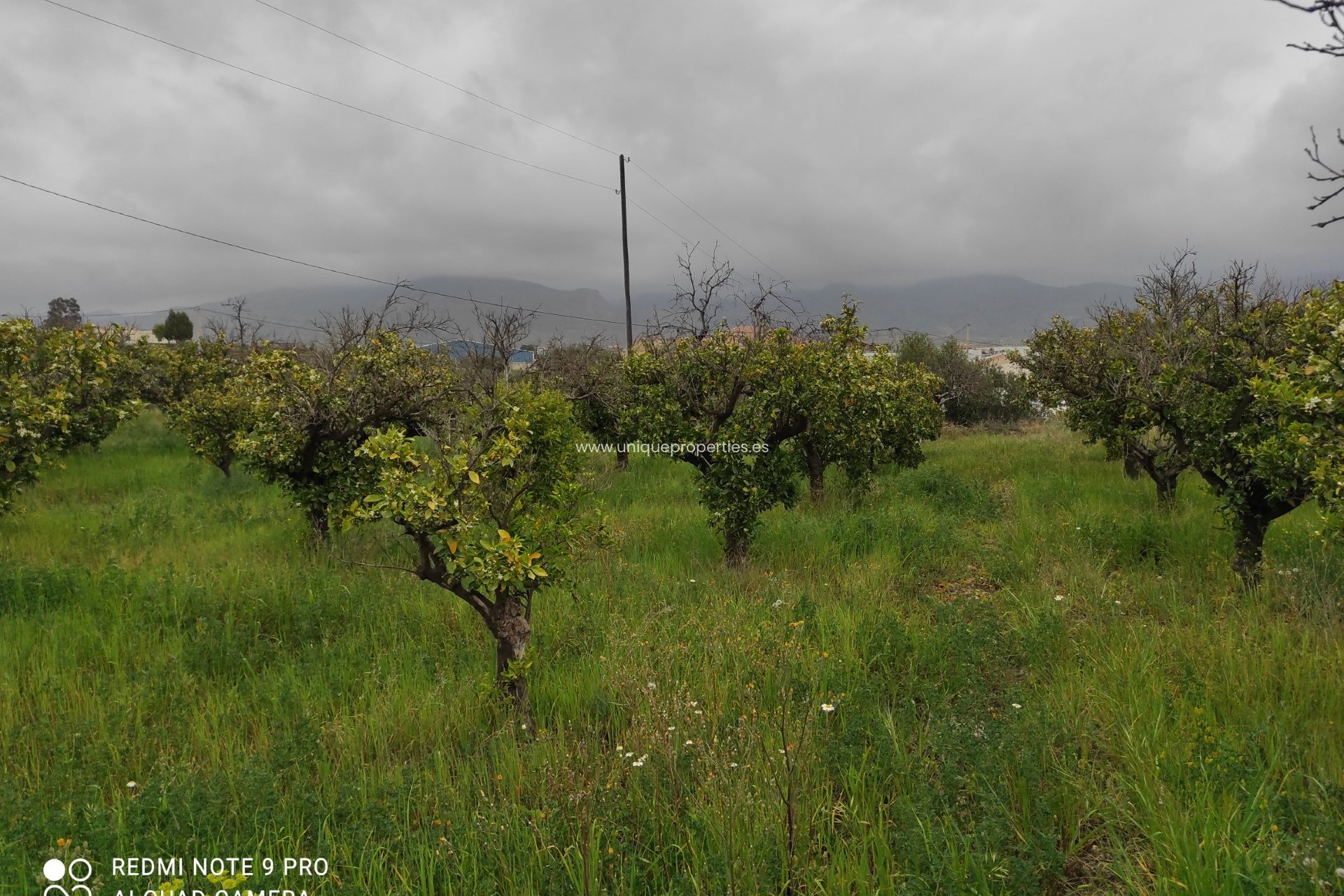 Reventa - Cortijo -
Olula del Rio