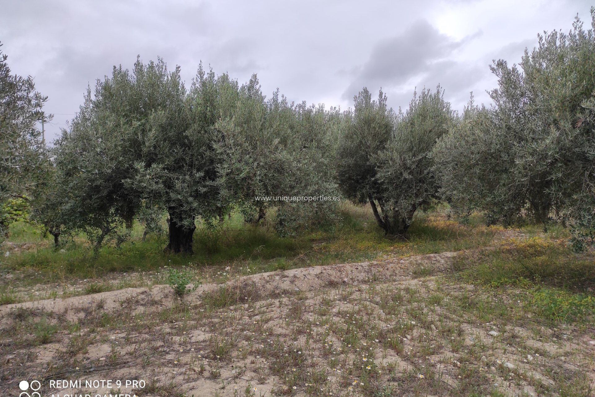 Reventa - Cortijo -
Olula del Rio