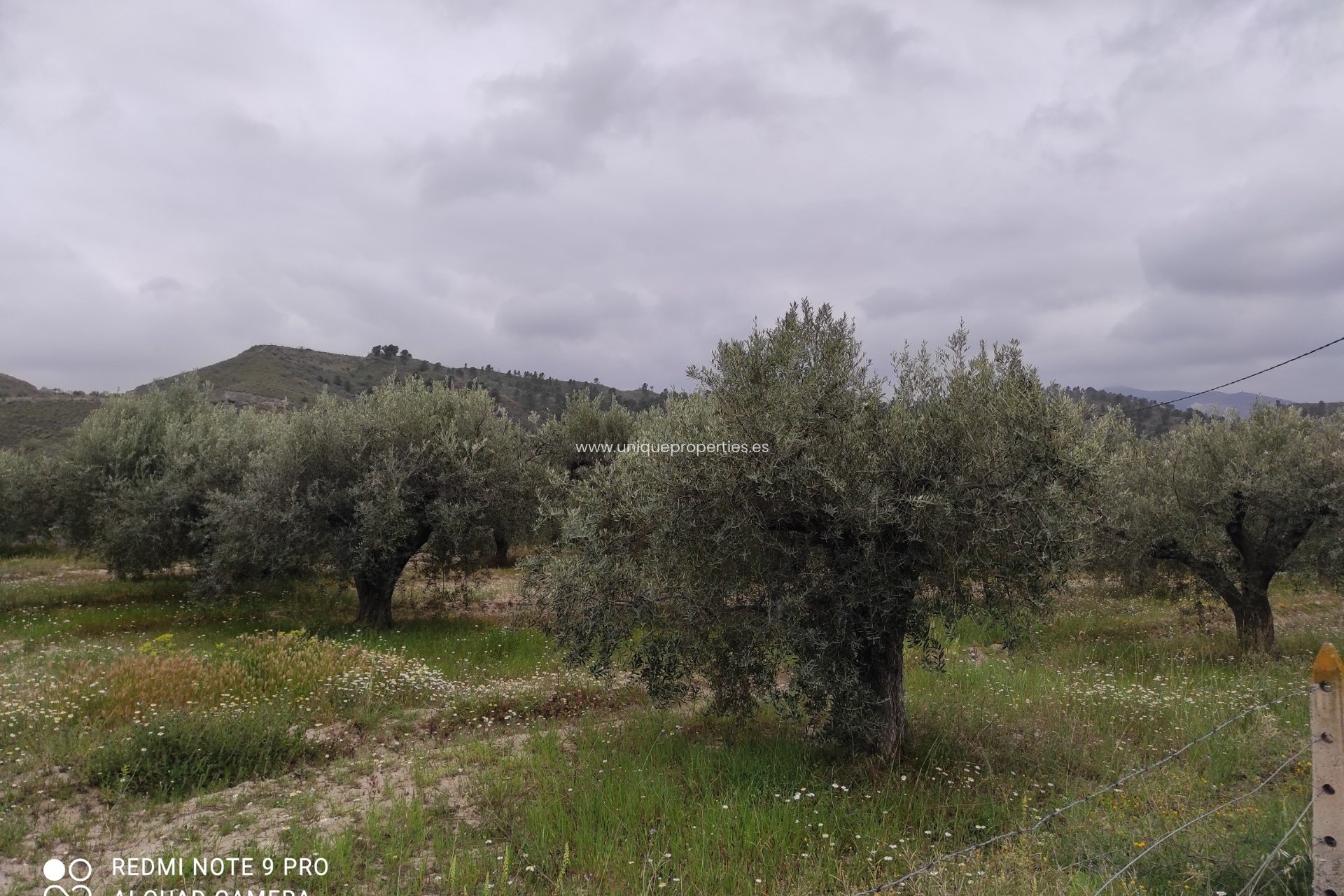 Reventa - Cortijo -
Olula del Rio