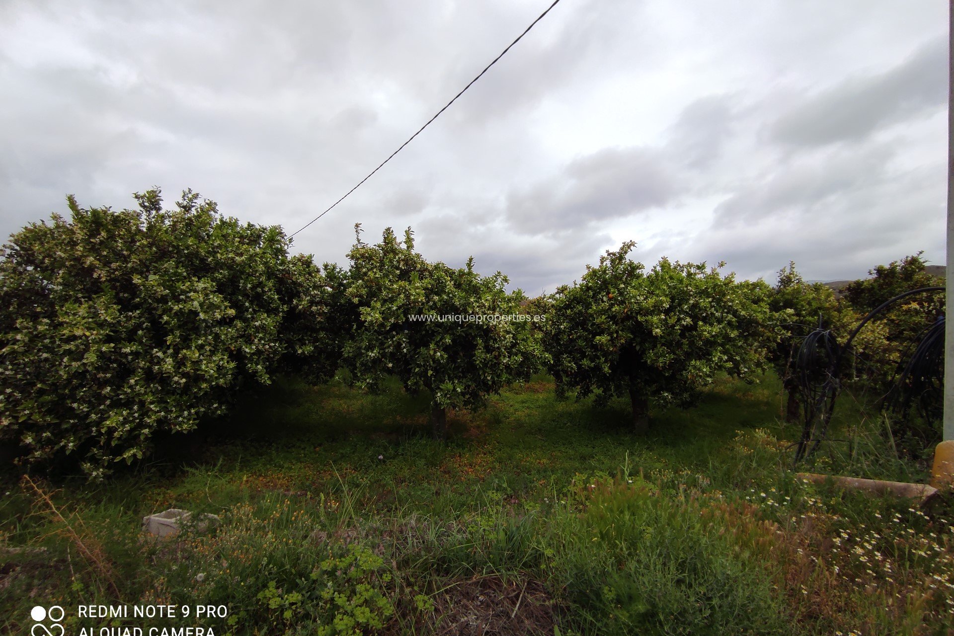 Reventa - Cortijo -
Olula del Rio