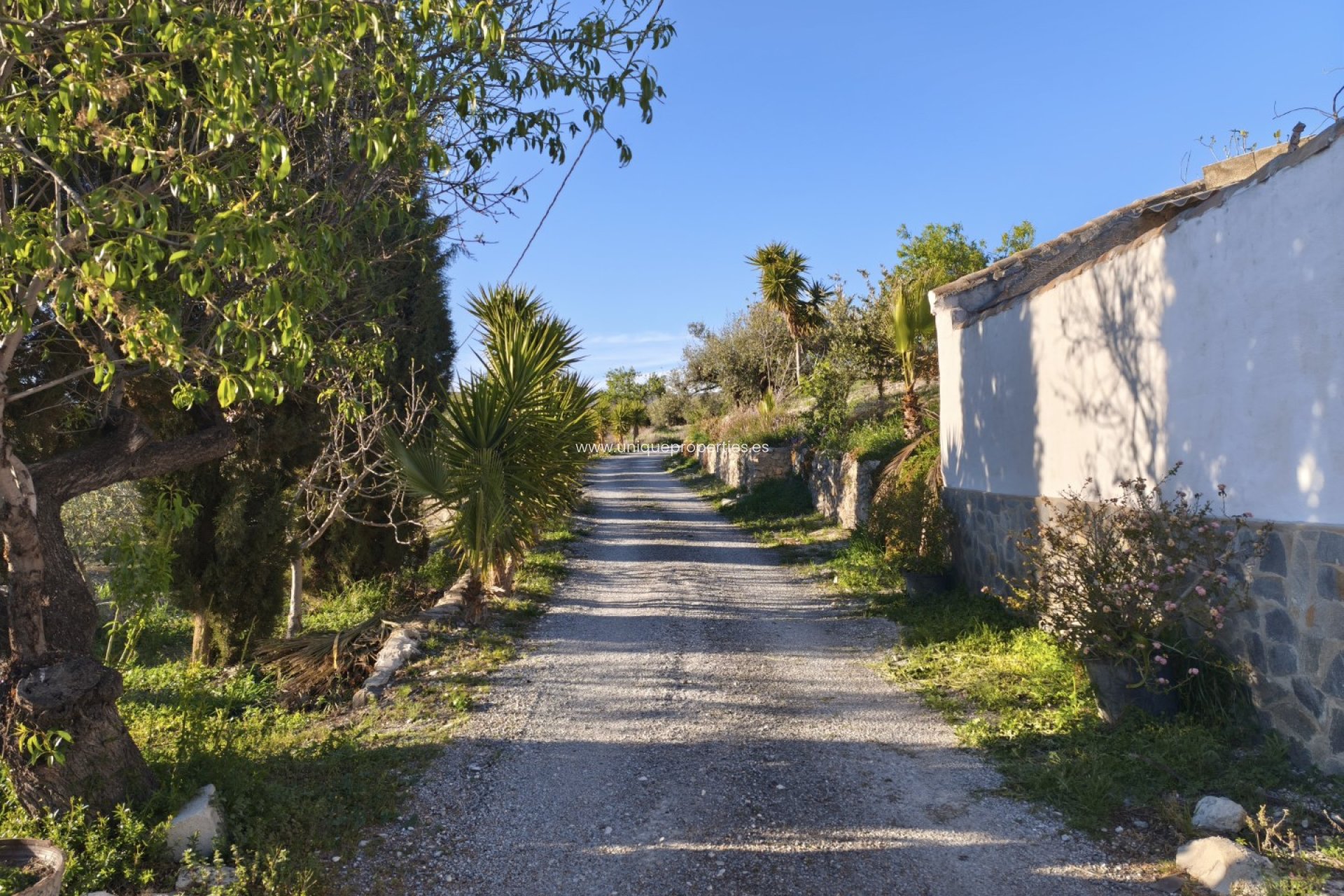 Reventa - Cortijo -
Somontin