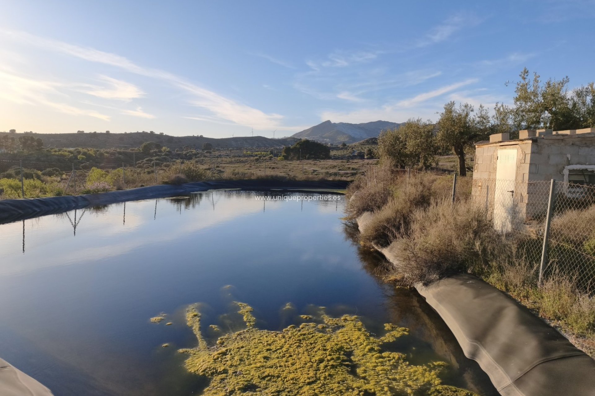 Reventa - Cortijo -
Somontin