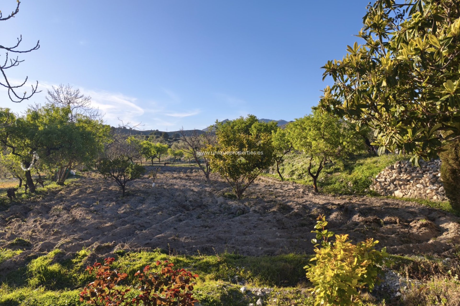 Reventa - Cortijo -
Somontin