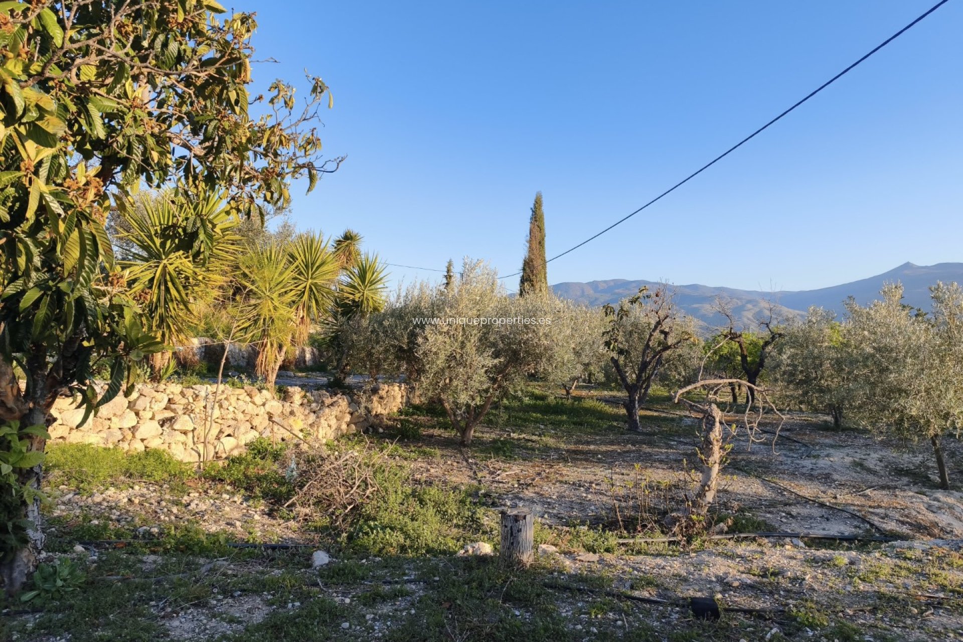 Reventa - Cortijo -
Somontin