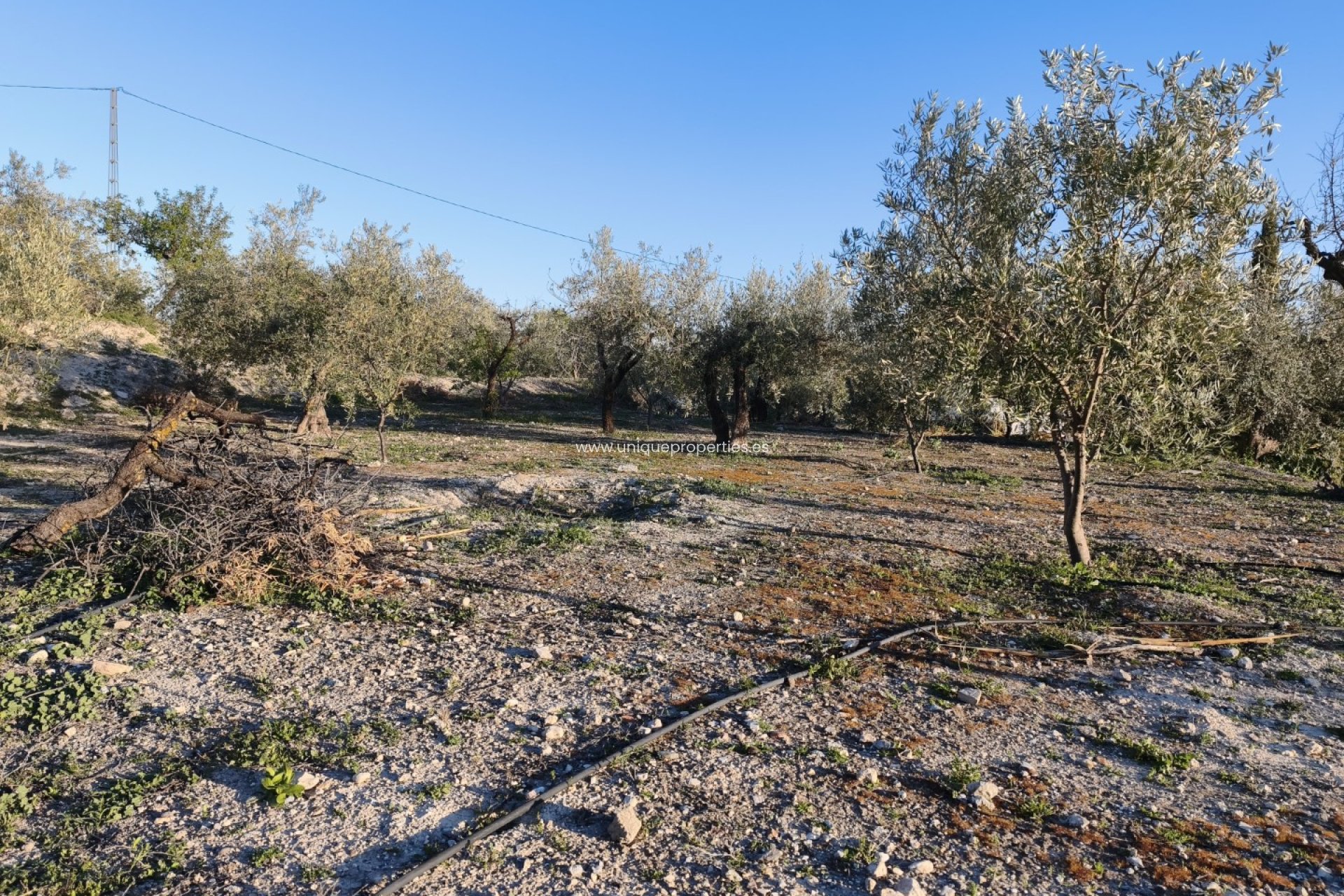 Reventa - Cortijo -
Somontin