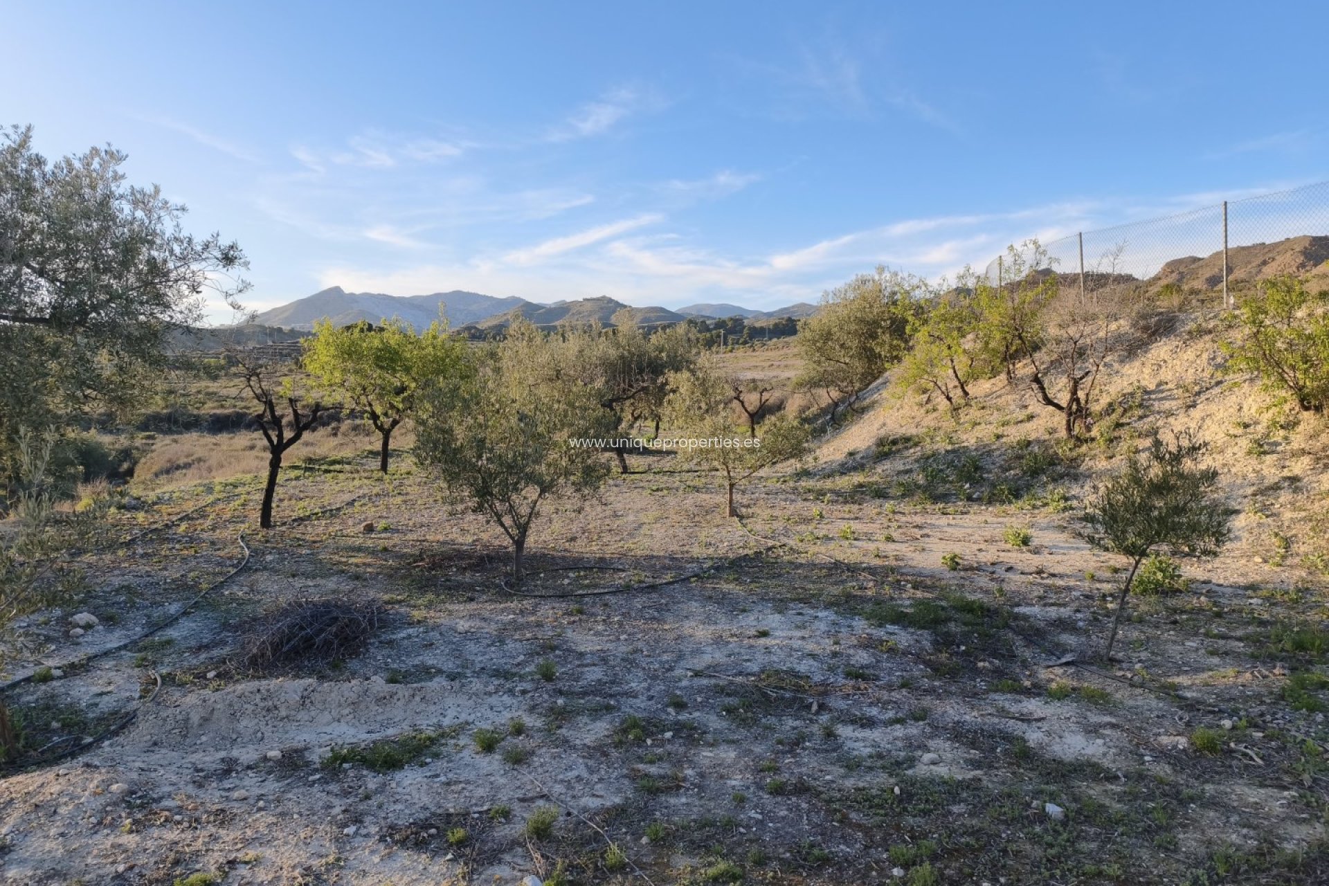 Reventa - Cortijo -
Somontin