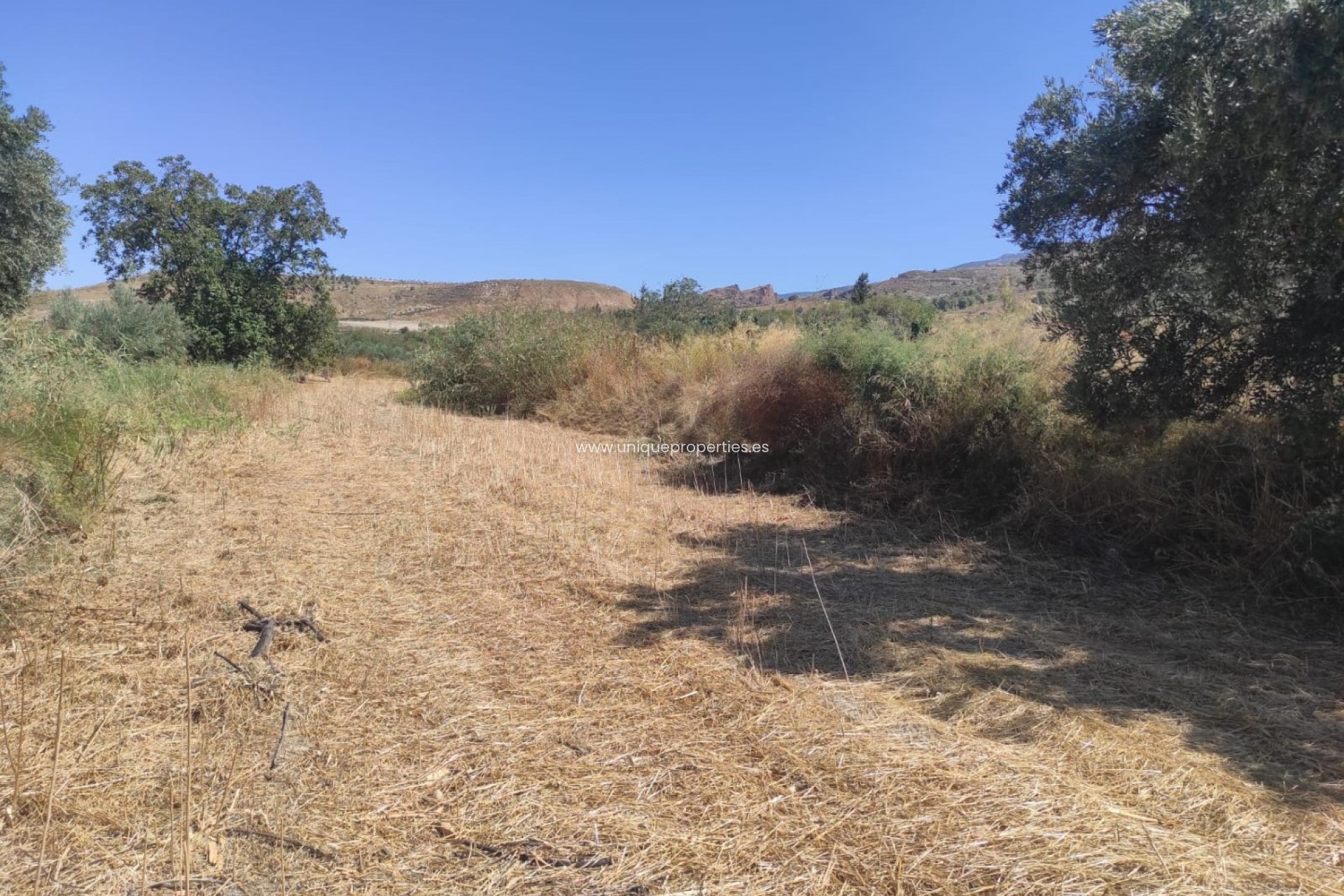 Reventa - Cortijo -
Tijola