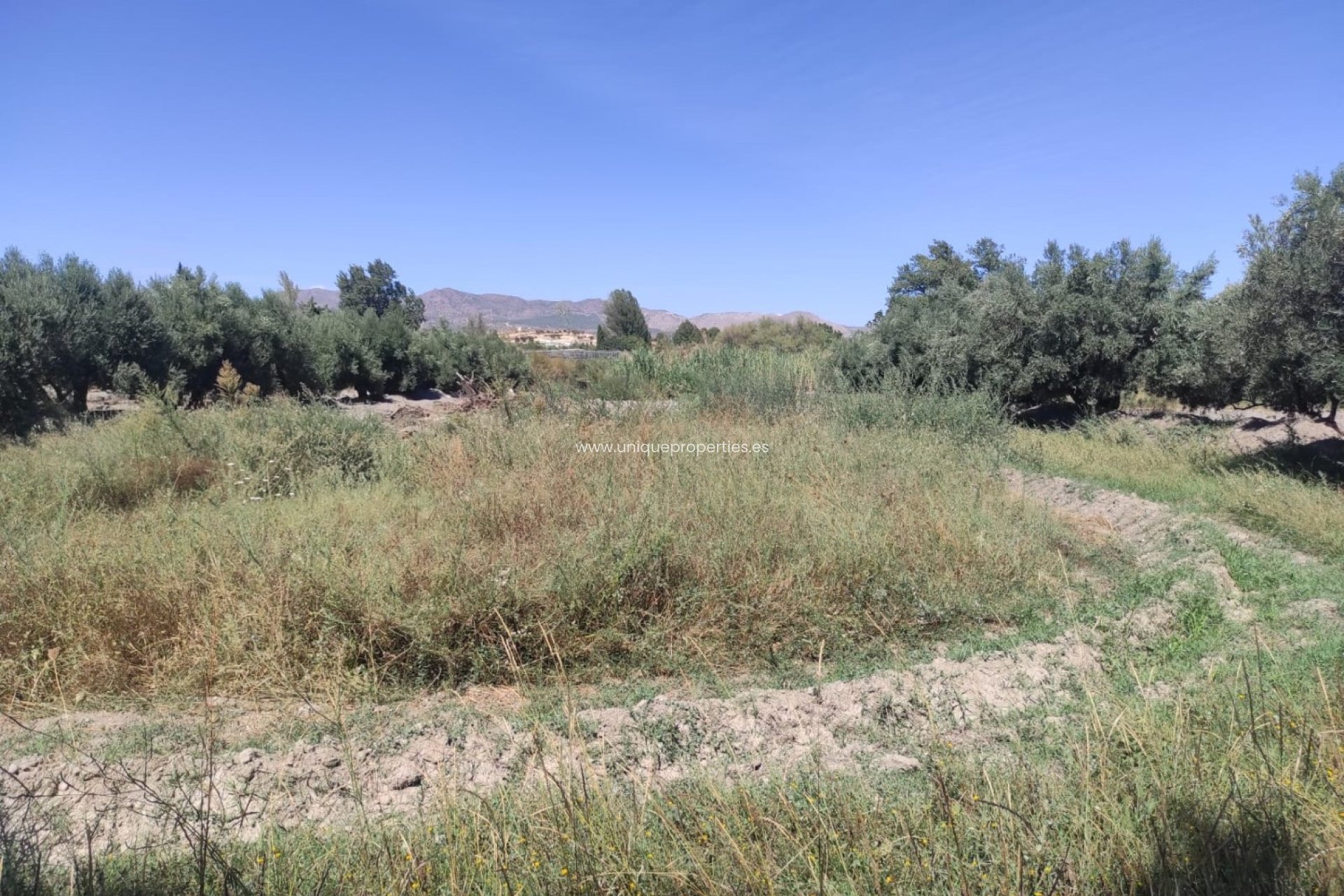 Reventa - Cortijo -
Tijola