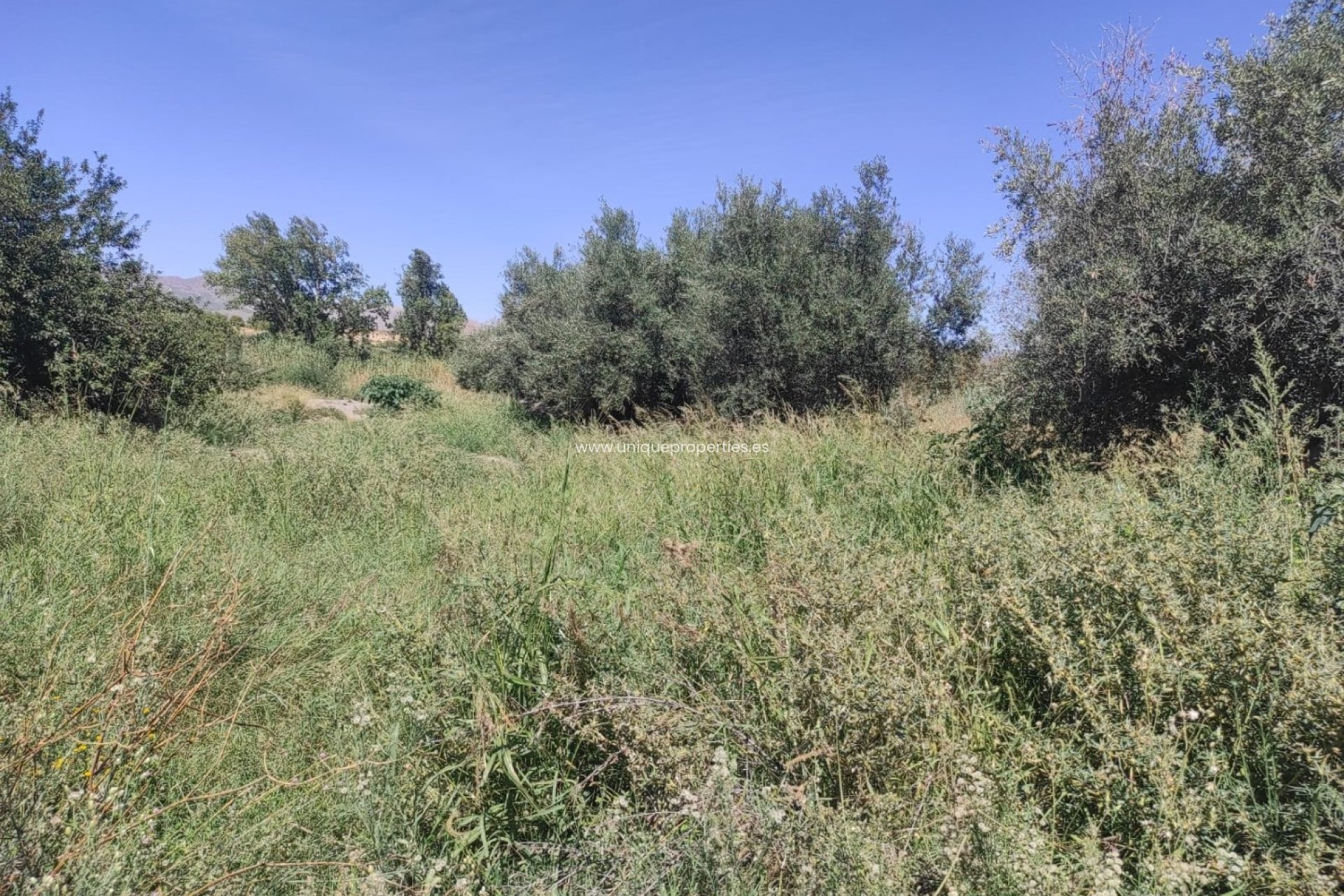 Reventa - Cortijo -
Tijola