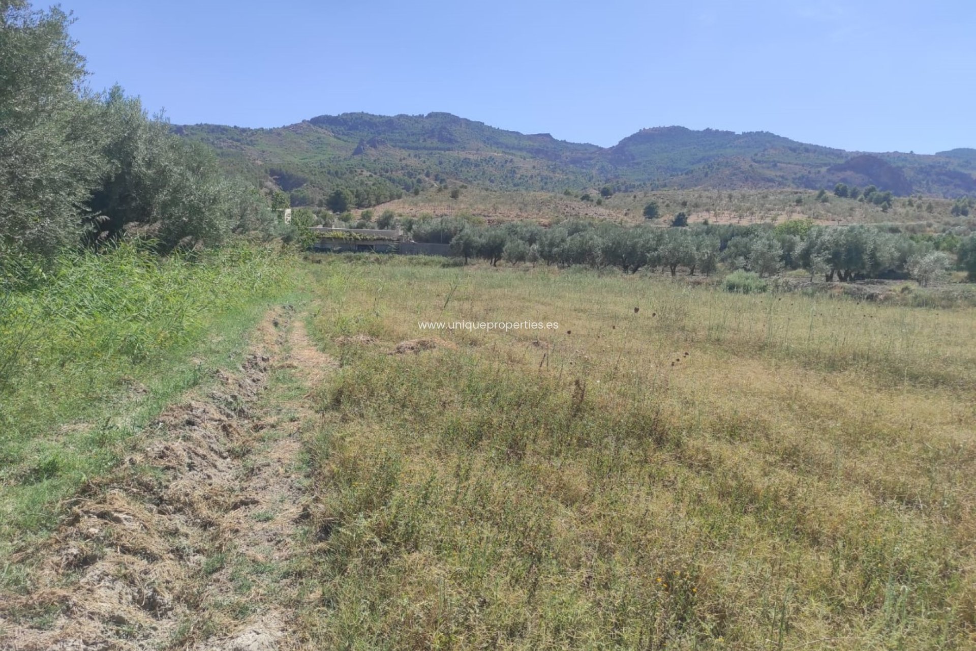 Reventa - Cortijo -
Tijola