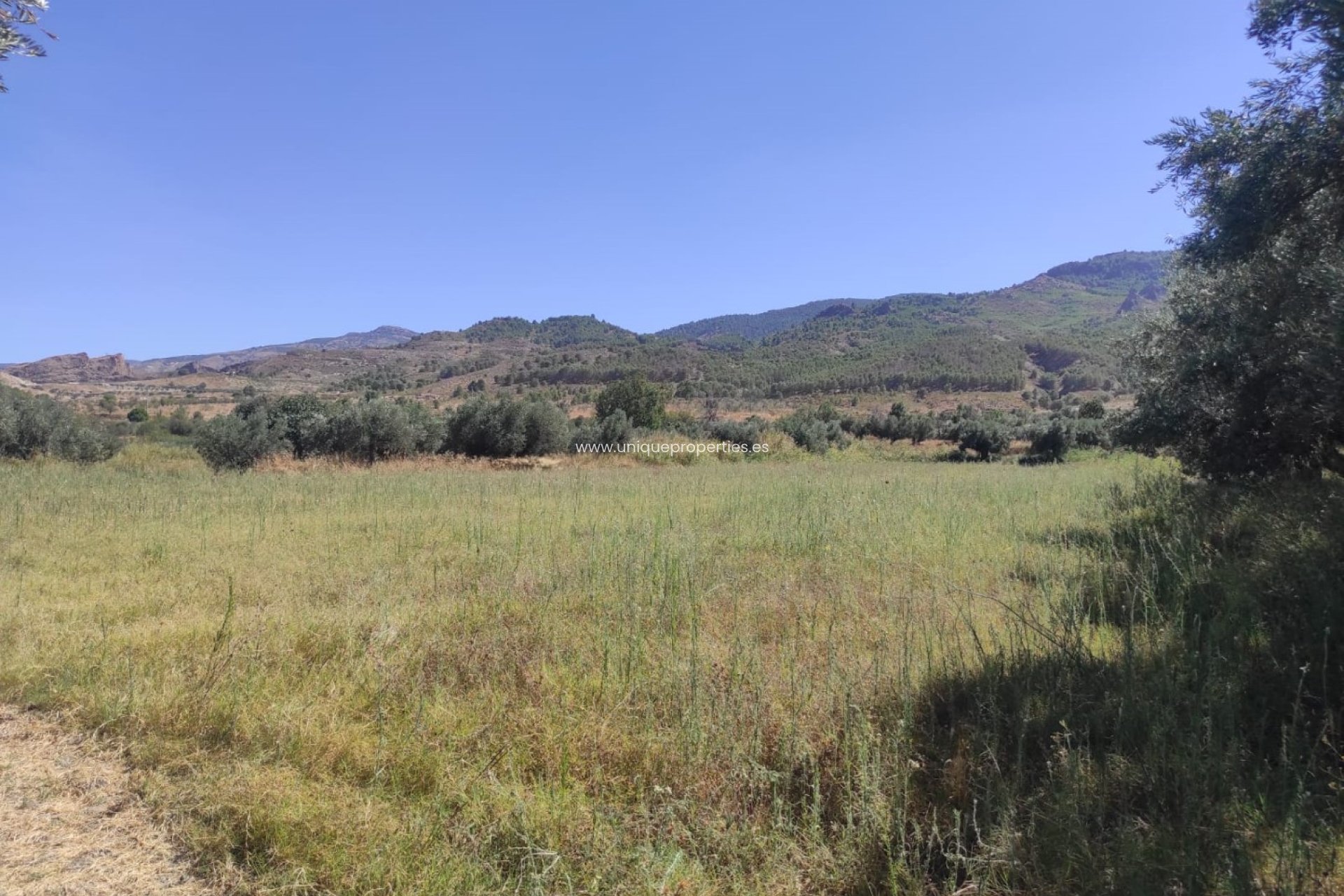 Reventa - Cortijo -
Tijola