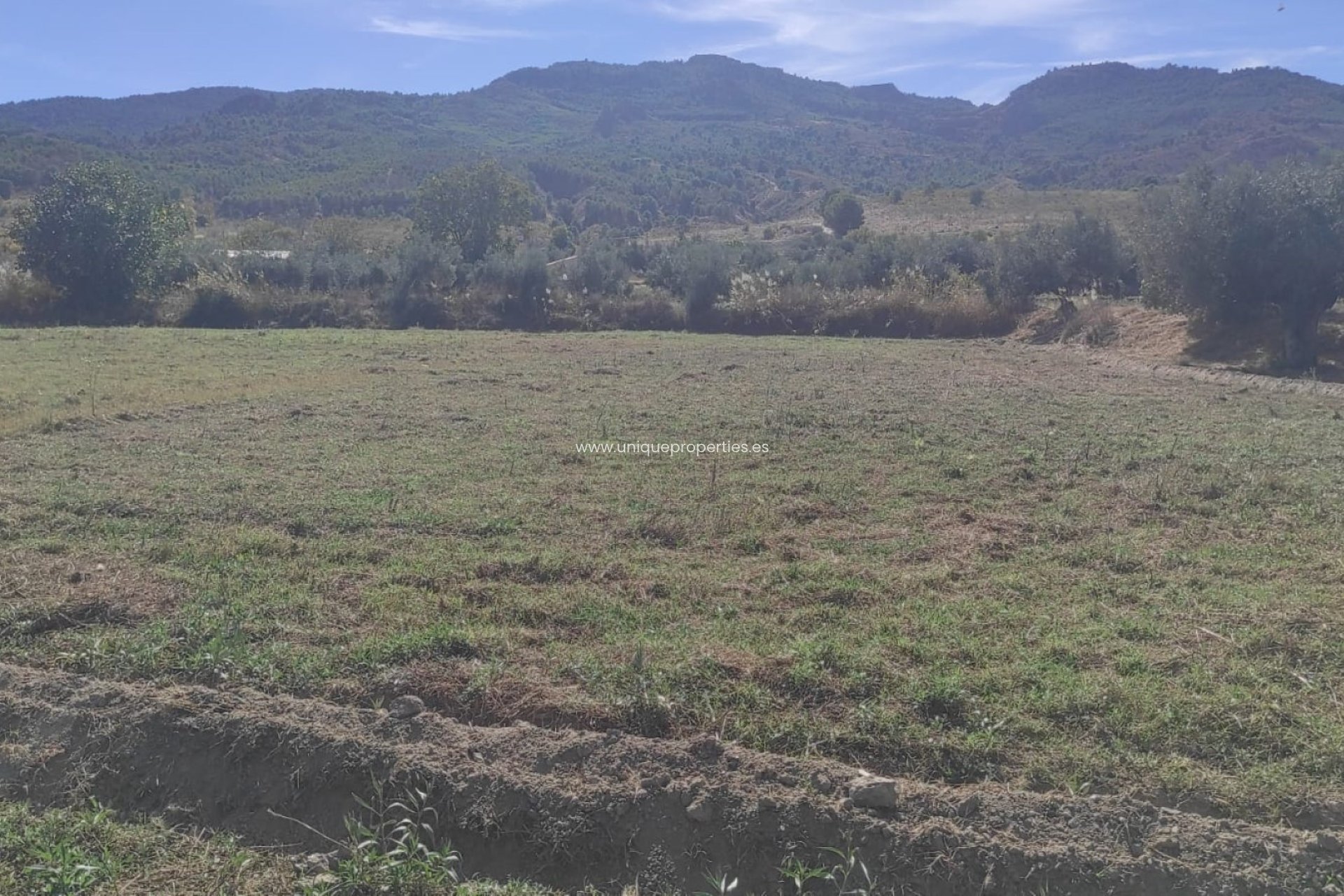 Reventa - Cortijo -
Tijola