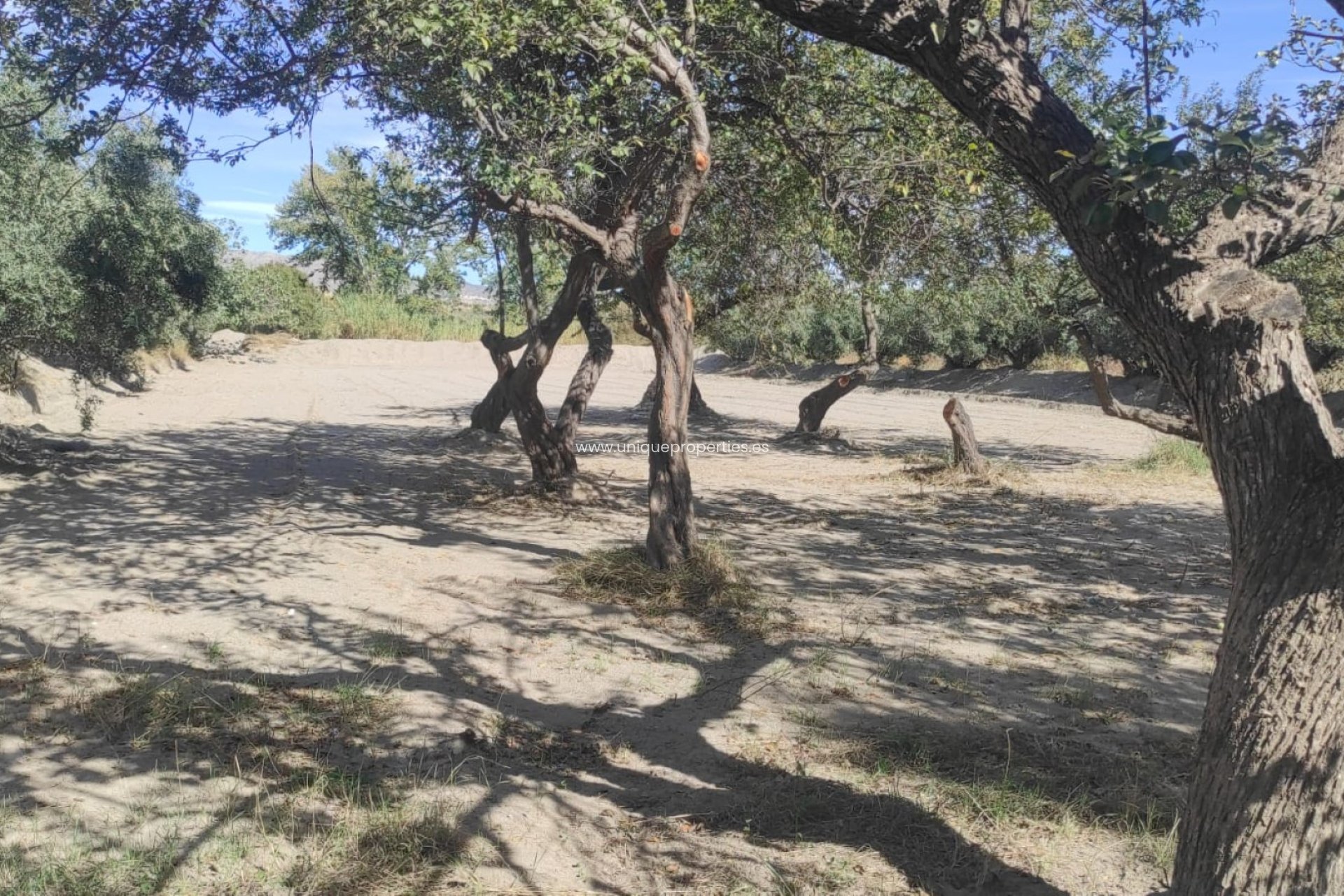 Reventa - Cortijo -
Tijola