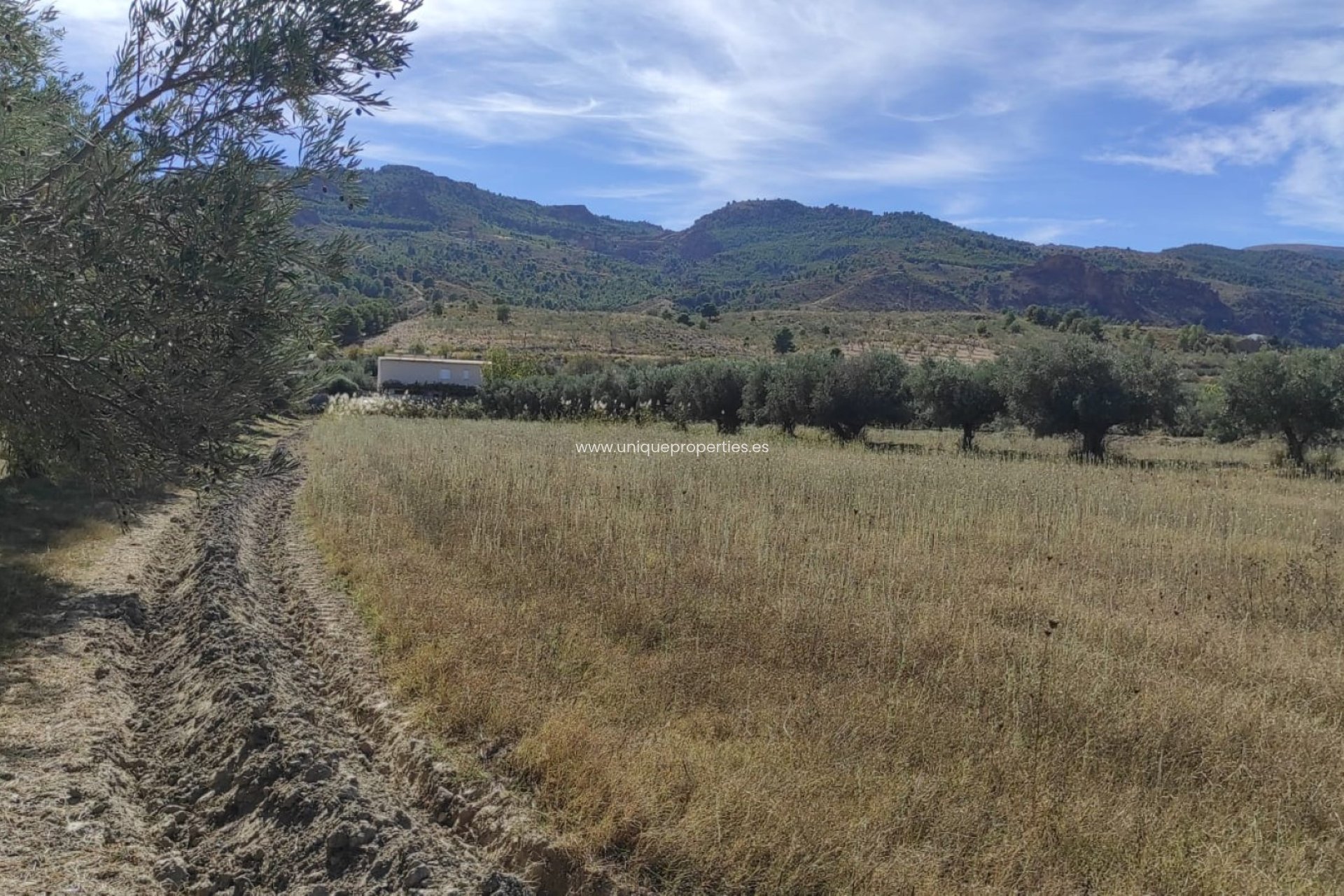 Reventa - Cortijo -
Tijola