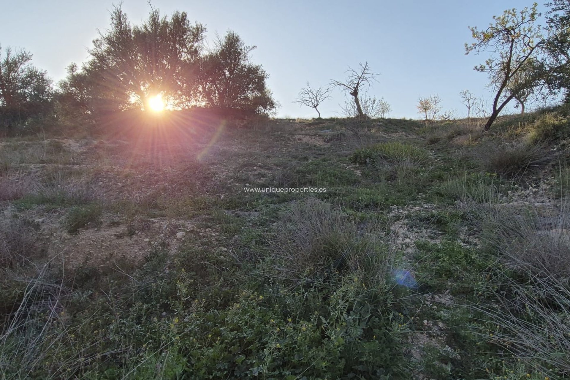 Reventa - Cortijo -
Urracal