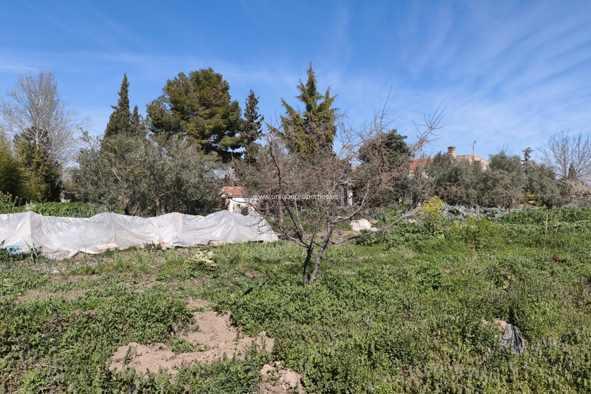 Reventa - Country House -
Baza