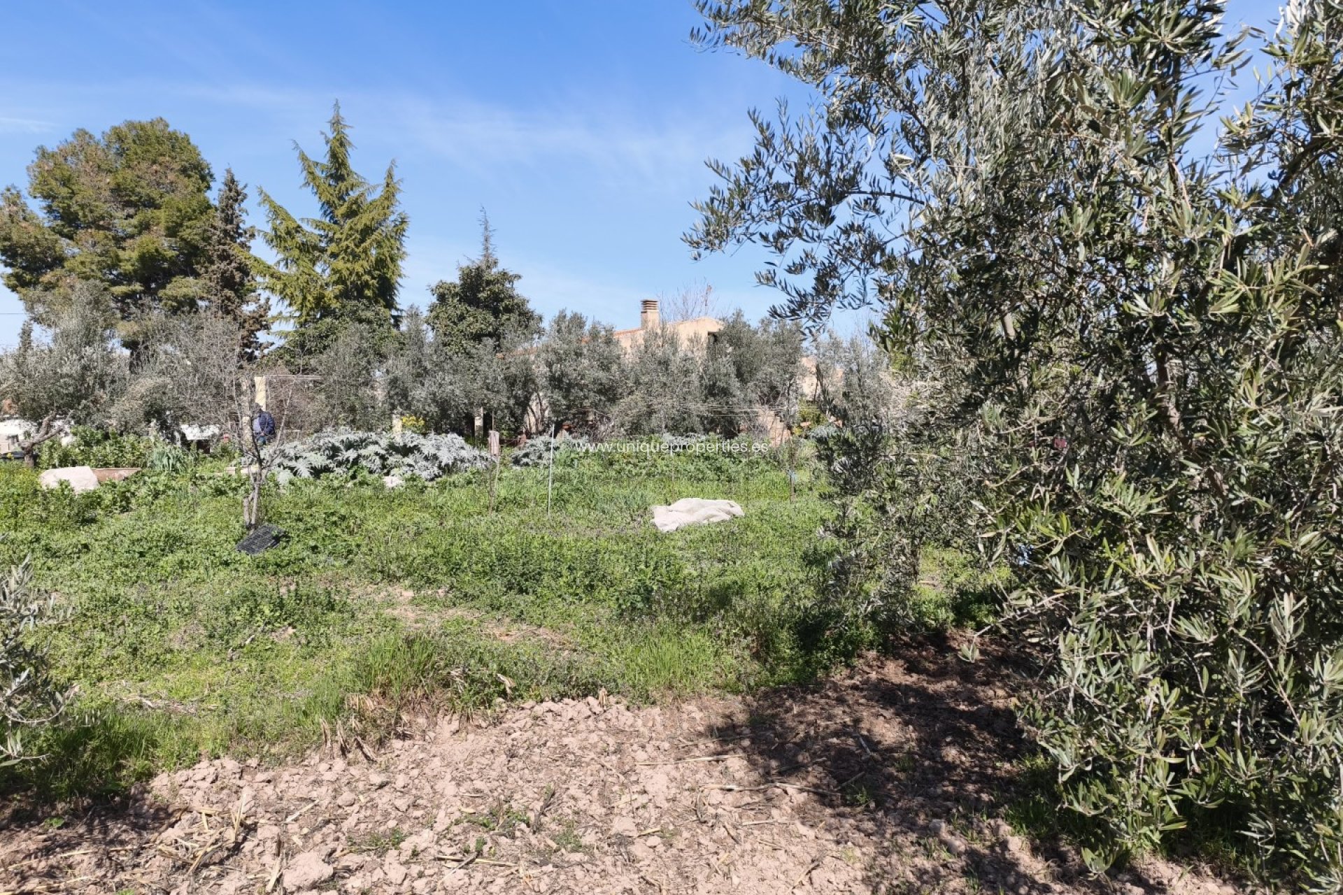 Reventa - Country House -
Baza