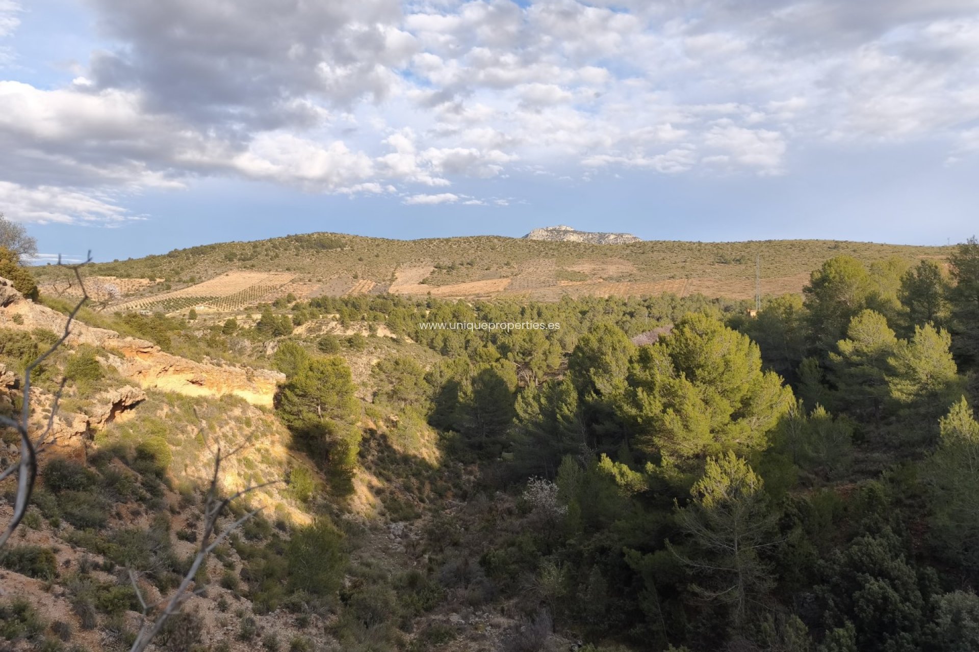 Reventa - Country House -
Huescar