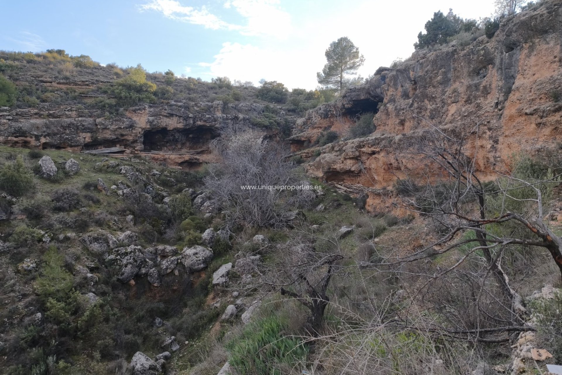 Reventa - Country House -
Huescar