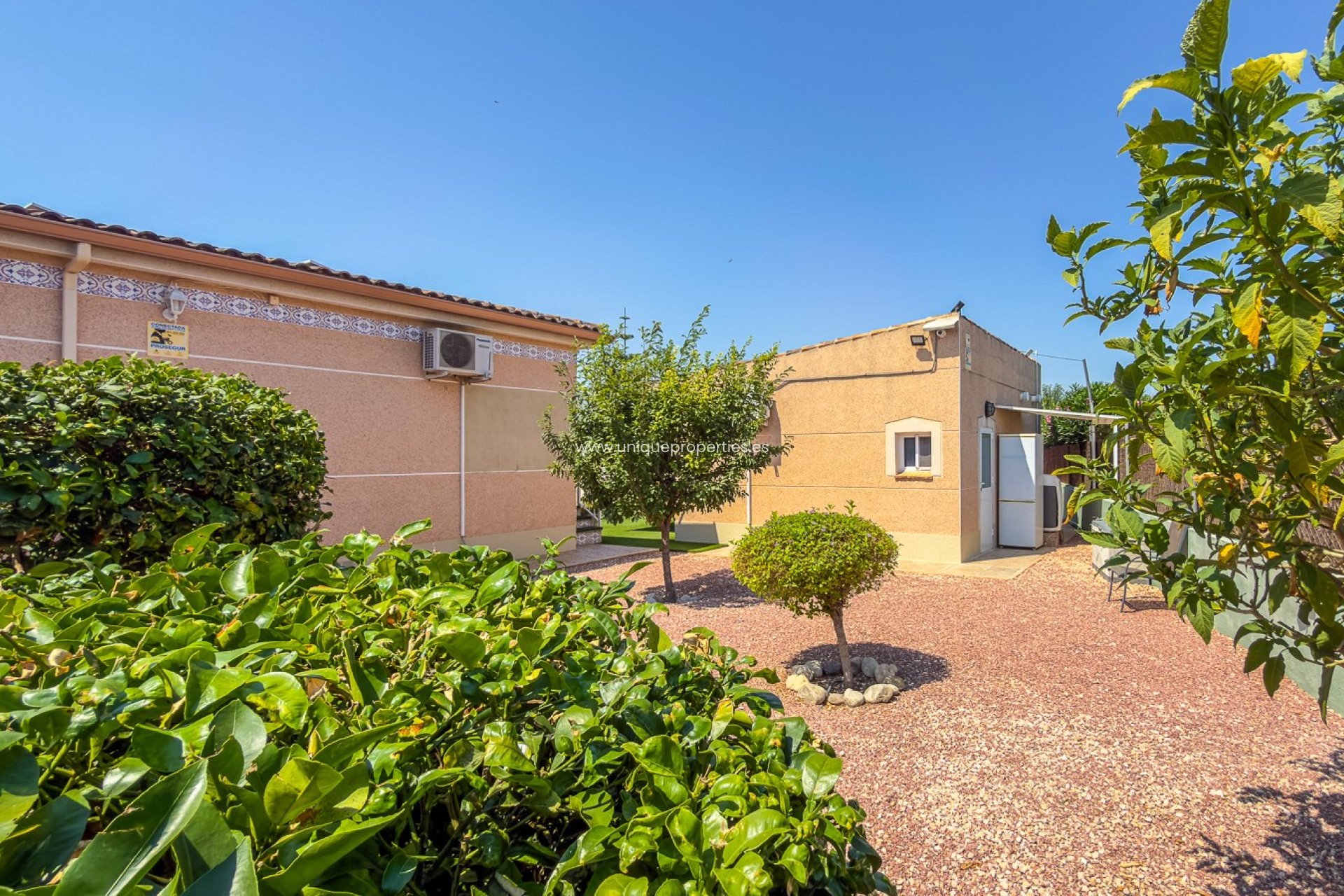 Reventa - House -
CATRAL - Catral