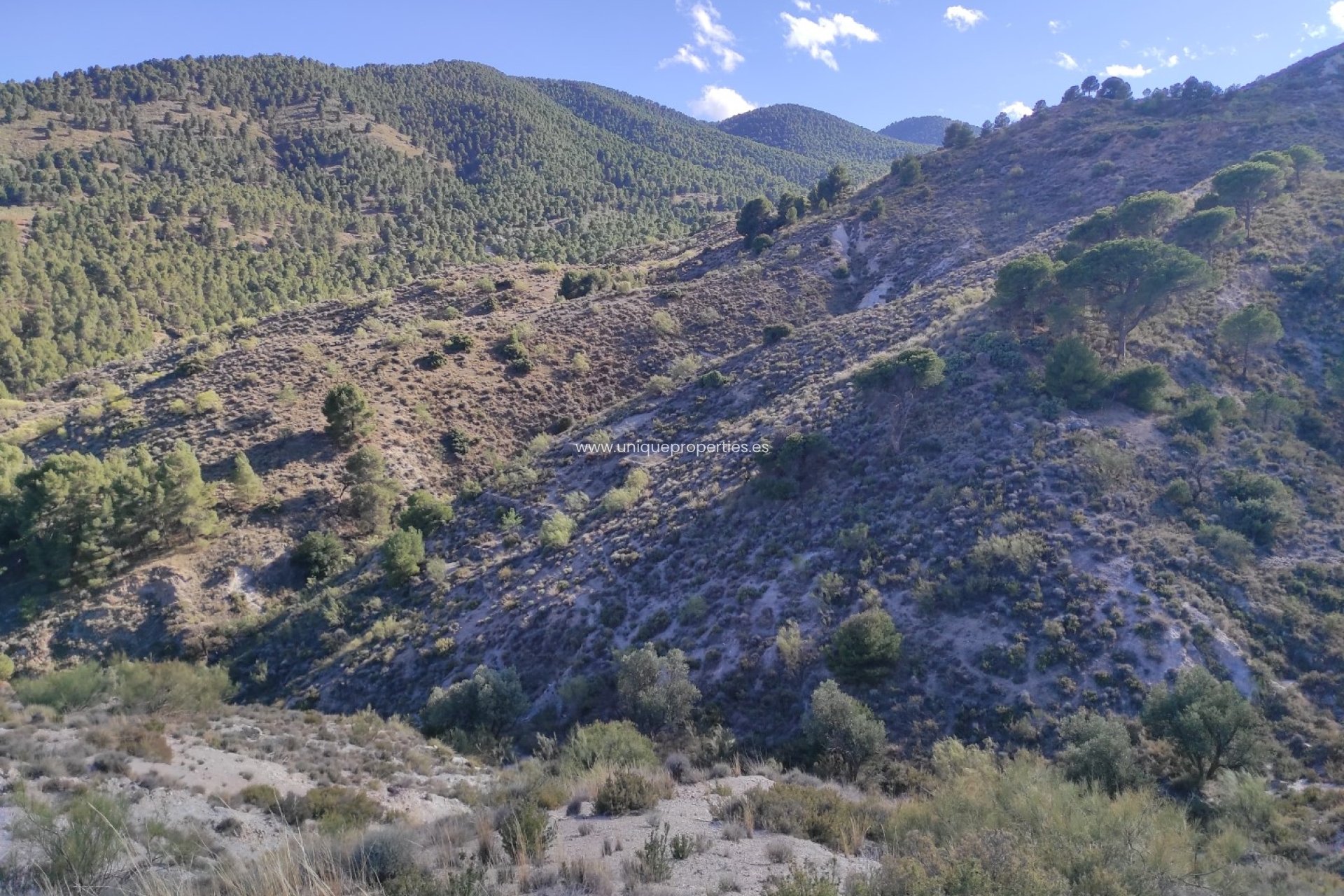 Reventa - Land -
Bayarque