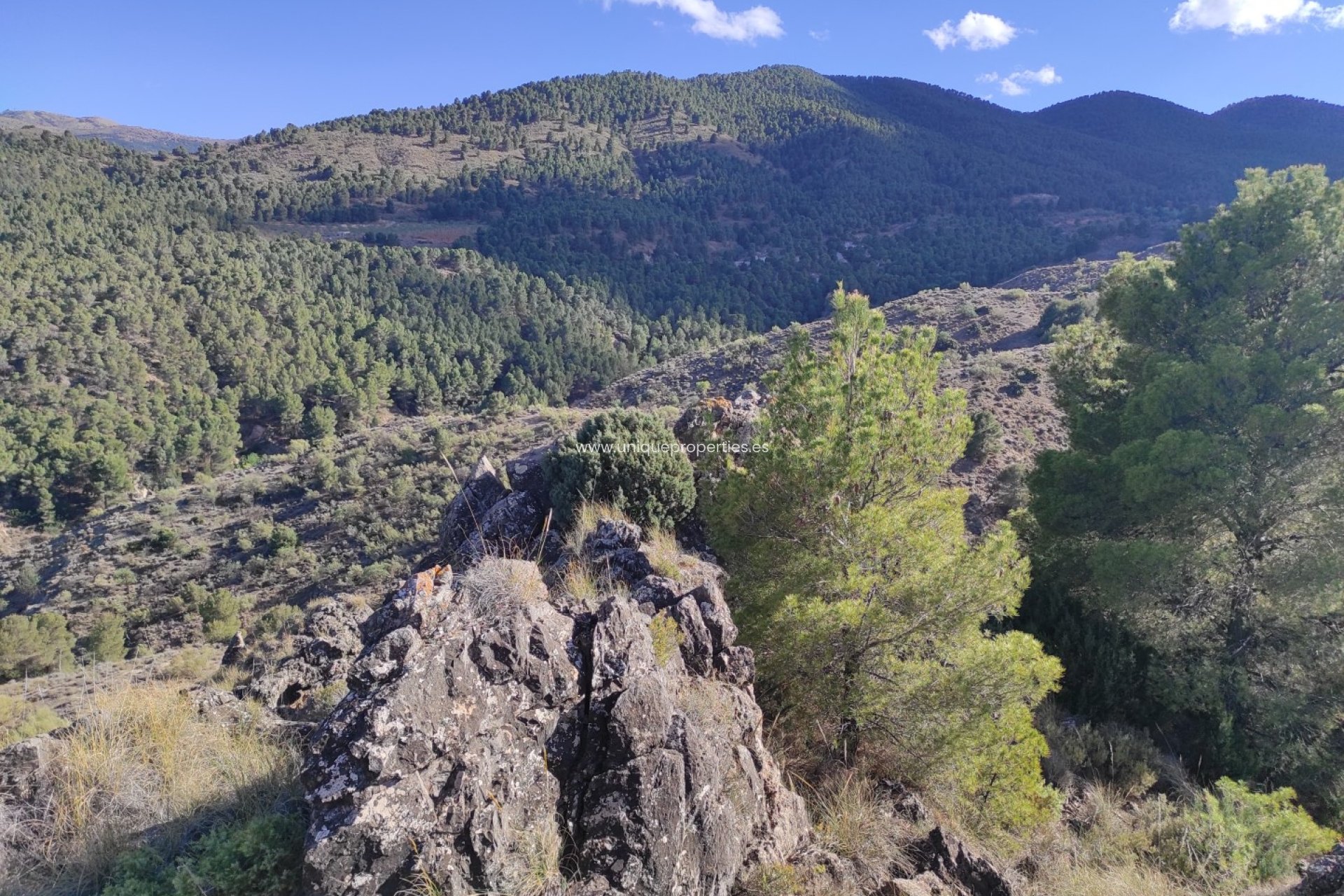 Reventa - Land -
Bayarque