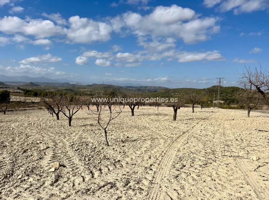 Reventa - Land -
Bullas - Costa Calida