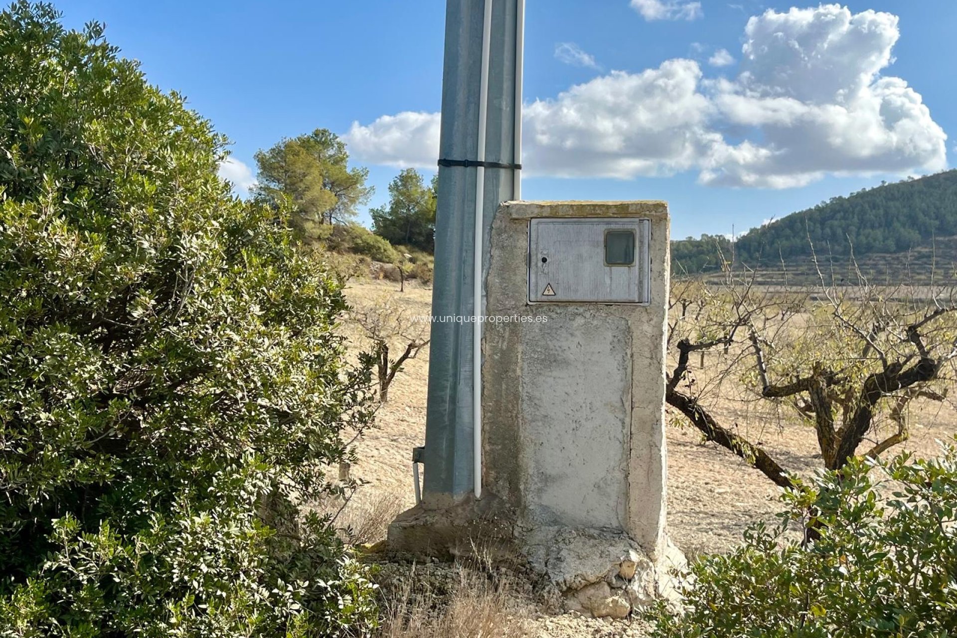 Reventa - Land -
Bullas - Costa Calida