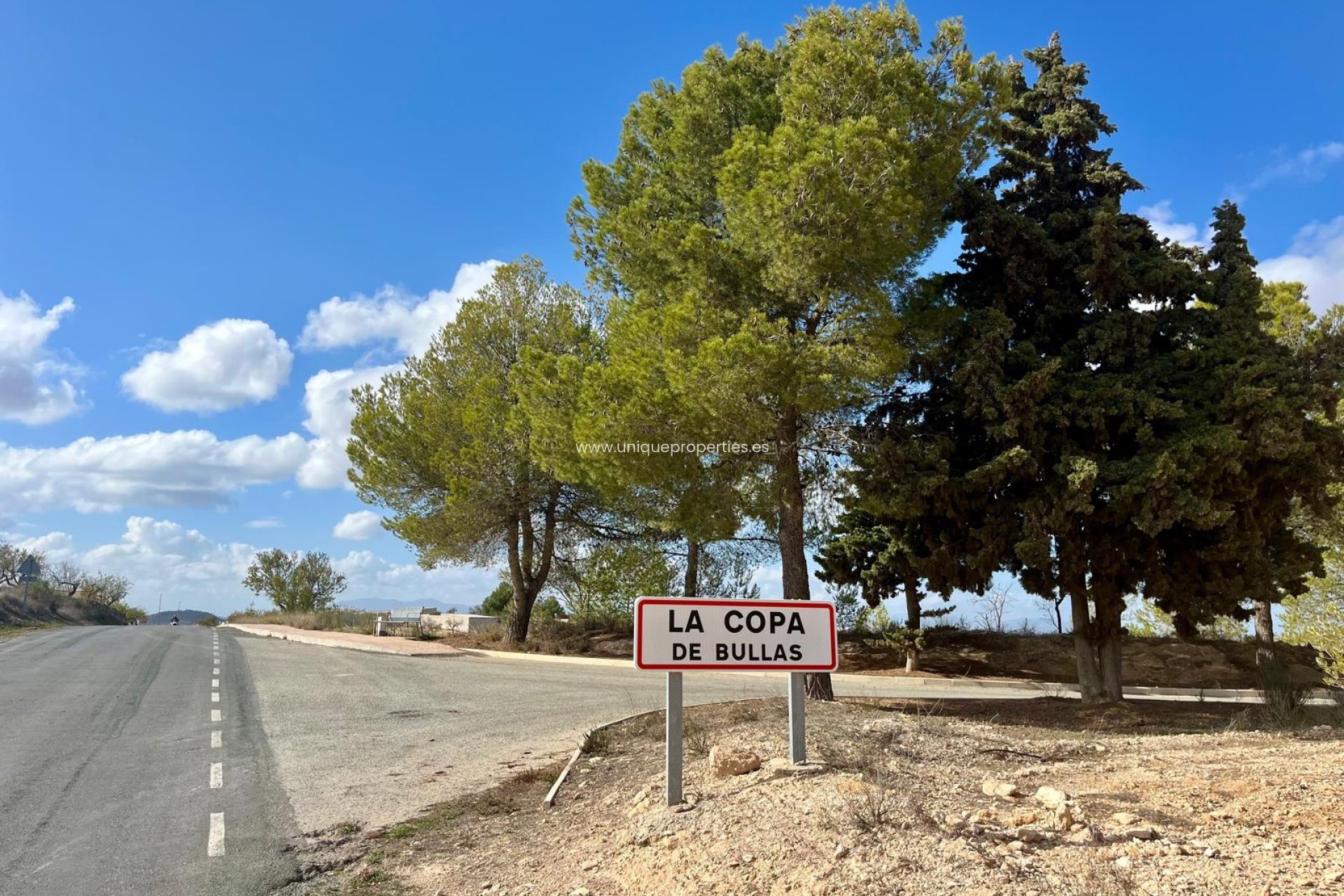 Reventa - Land -
Bullas - Costa Calida