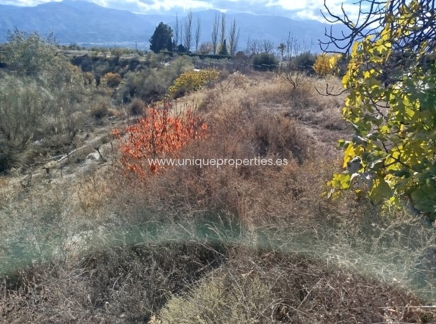 Reventa - Land -
Lucar