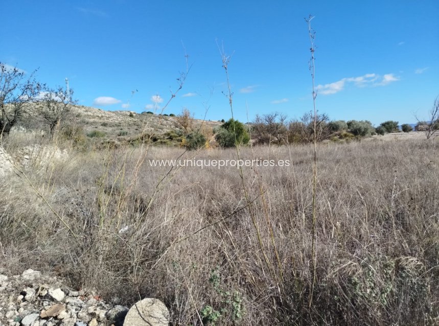 Reventa - Land -
Lucar