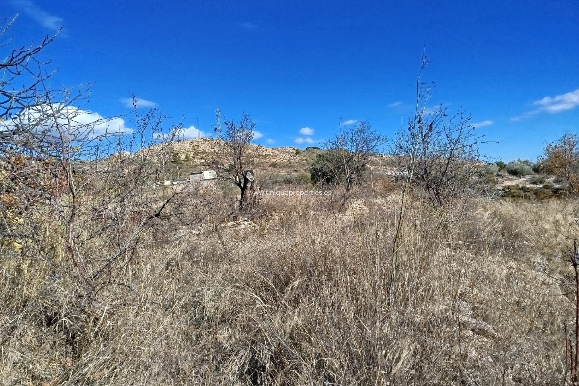 Reventa - Land -
Lucar