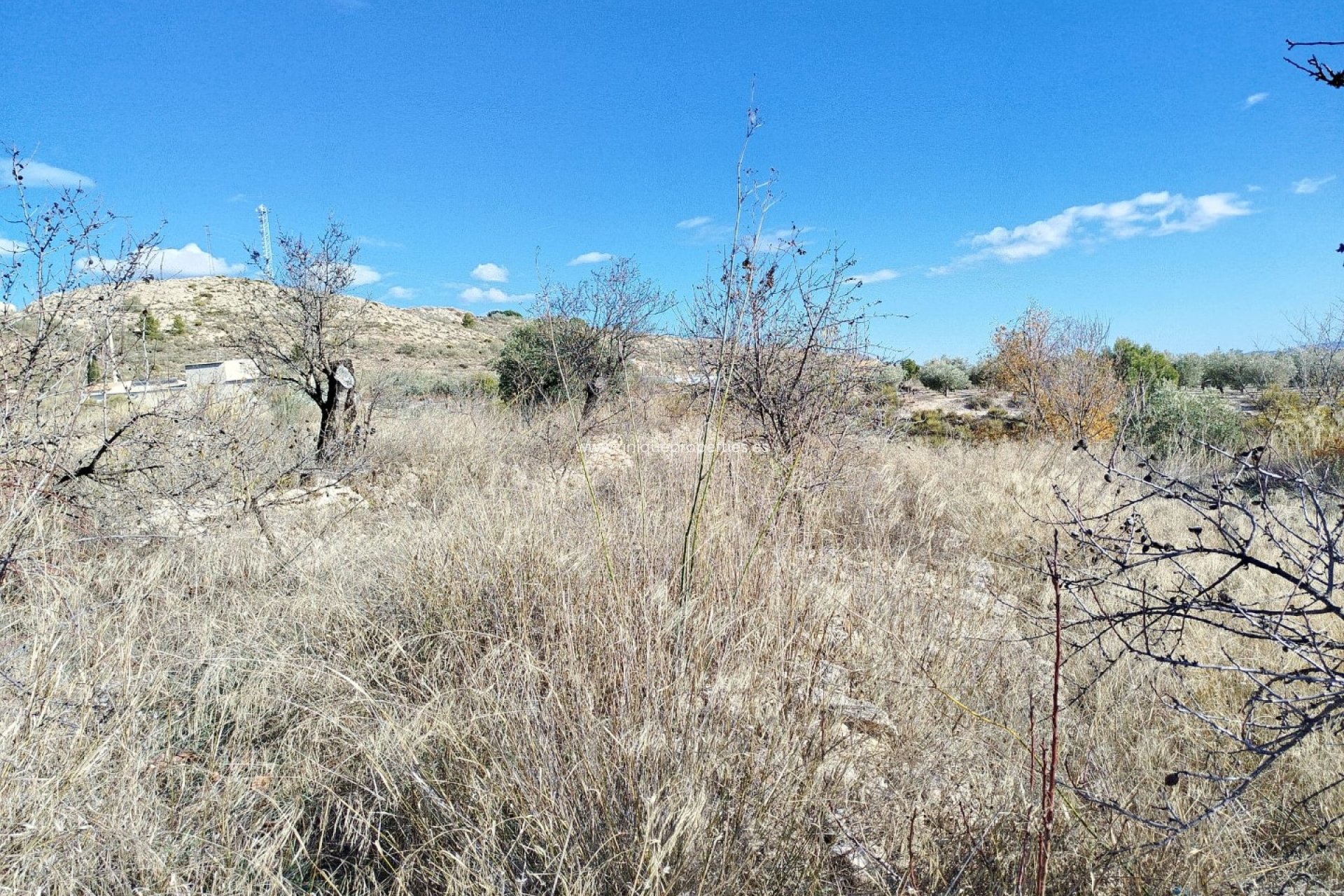 Reventa - Land -
Lucar