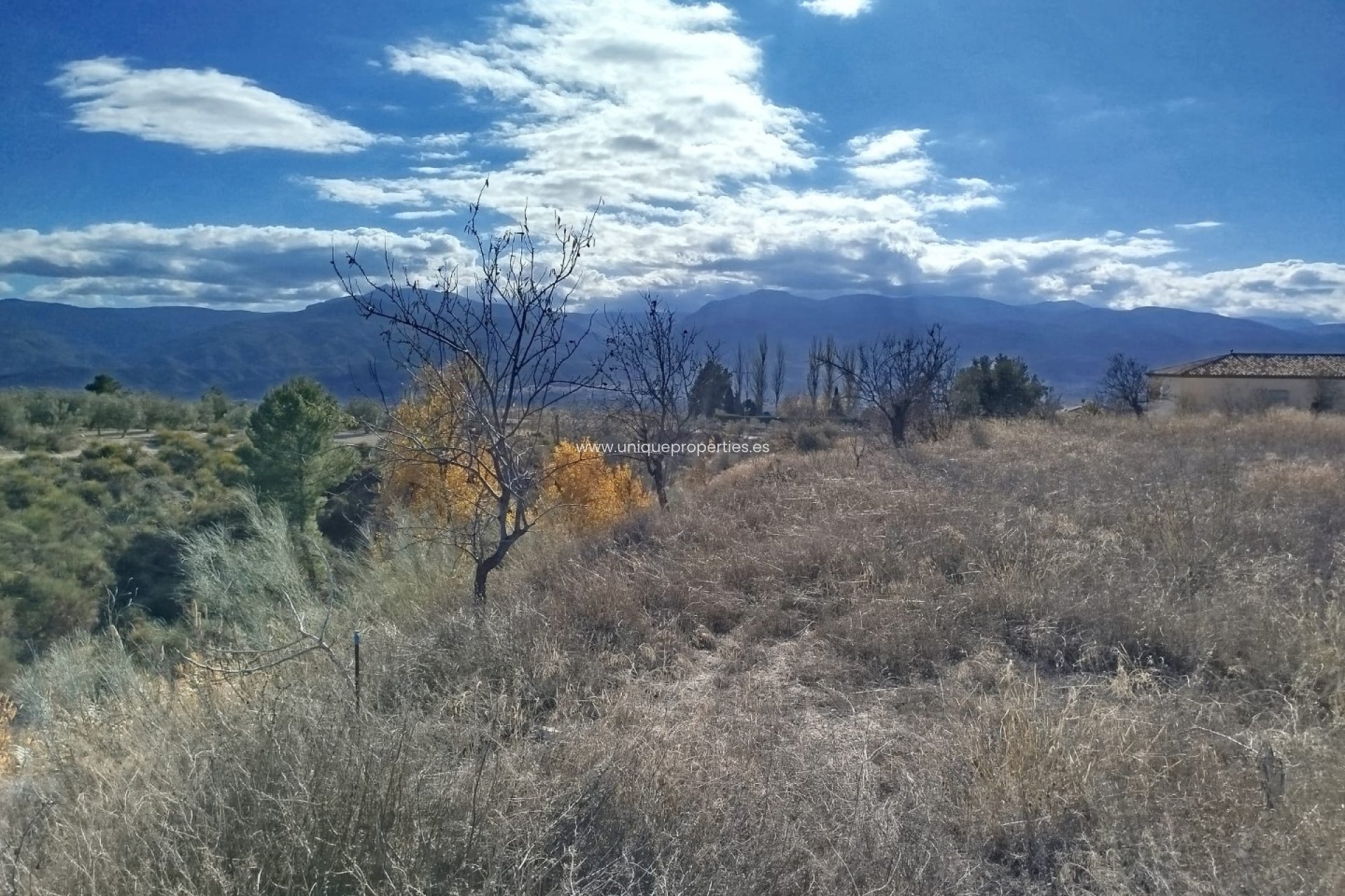 Reventa - Land -
Lucar