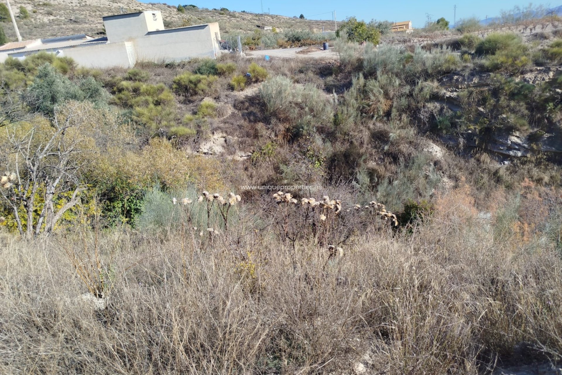 Reventa - Land -
Lucar